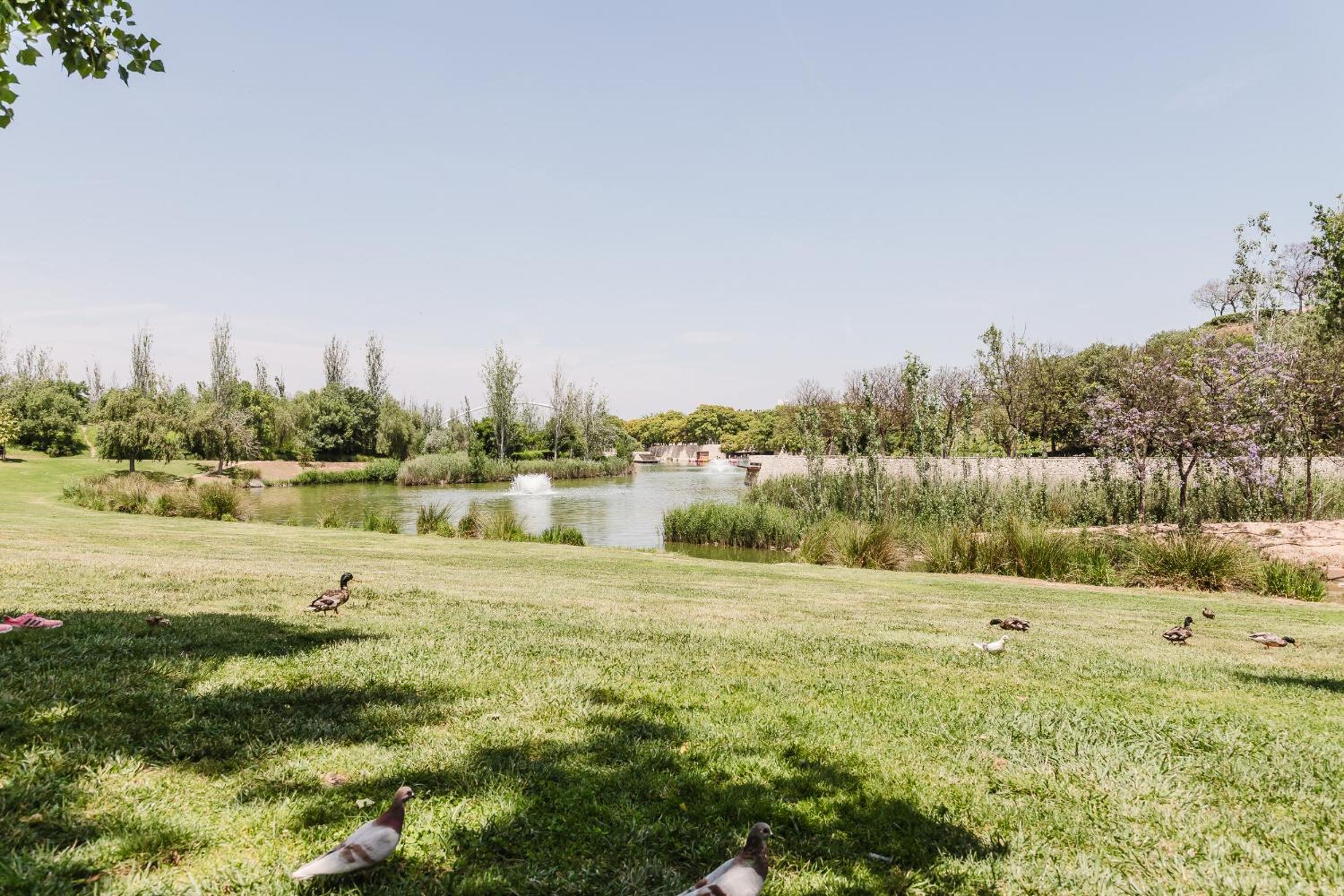 Gran Turia Apartments