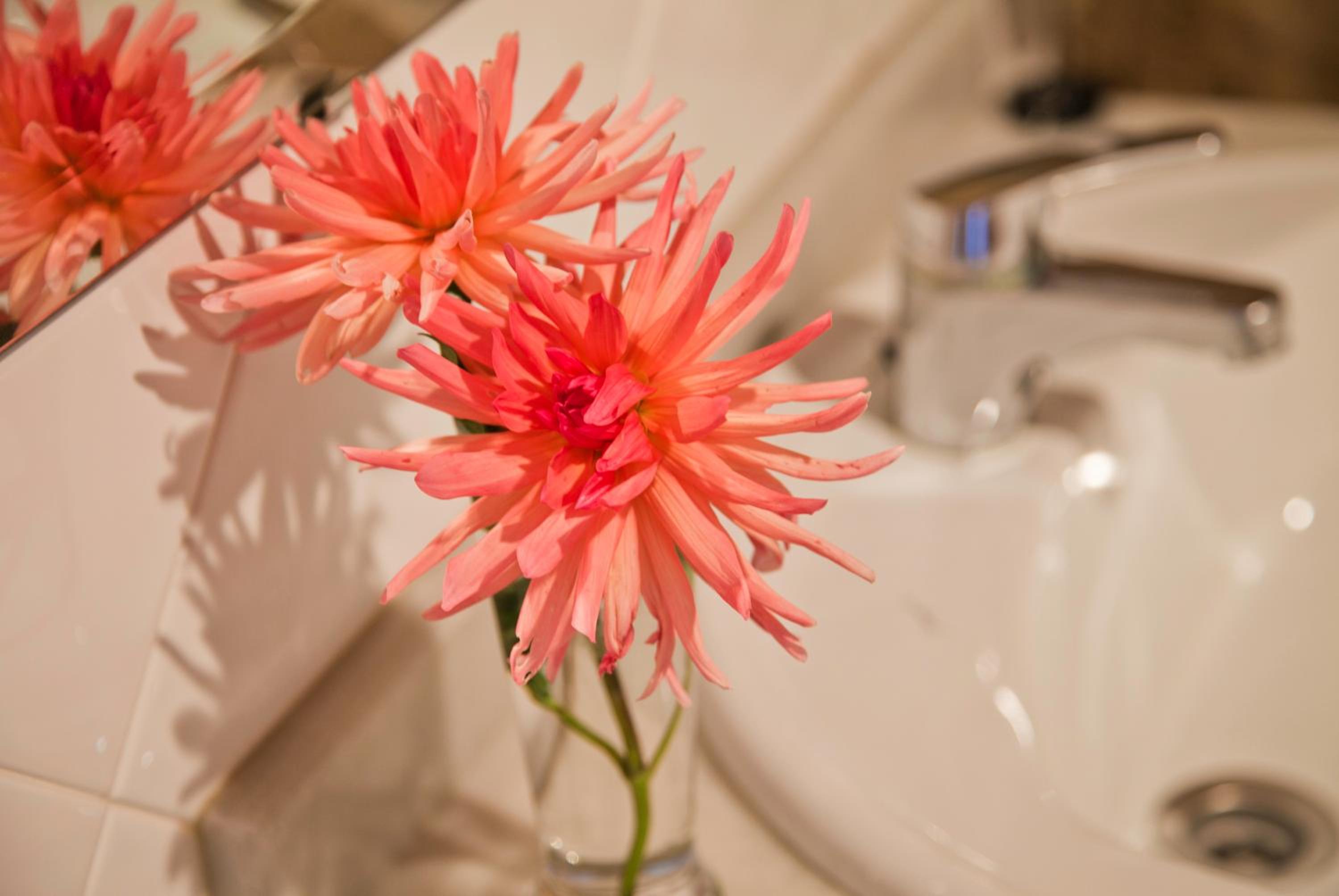 Casa Velarde - Property Image 110