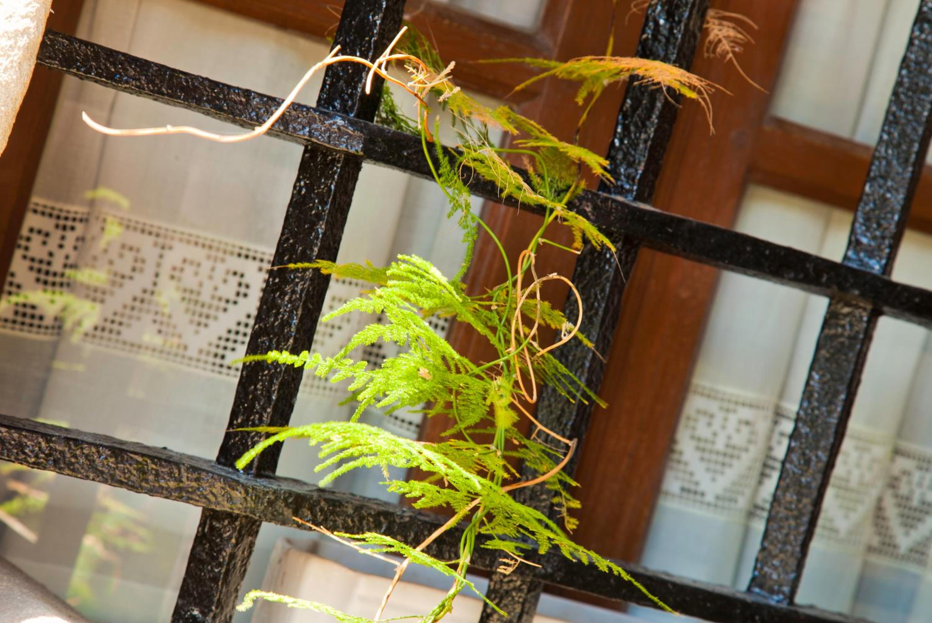 Casa Velarde - Property Image 113