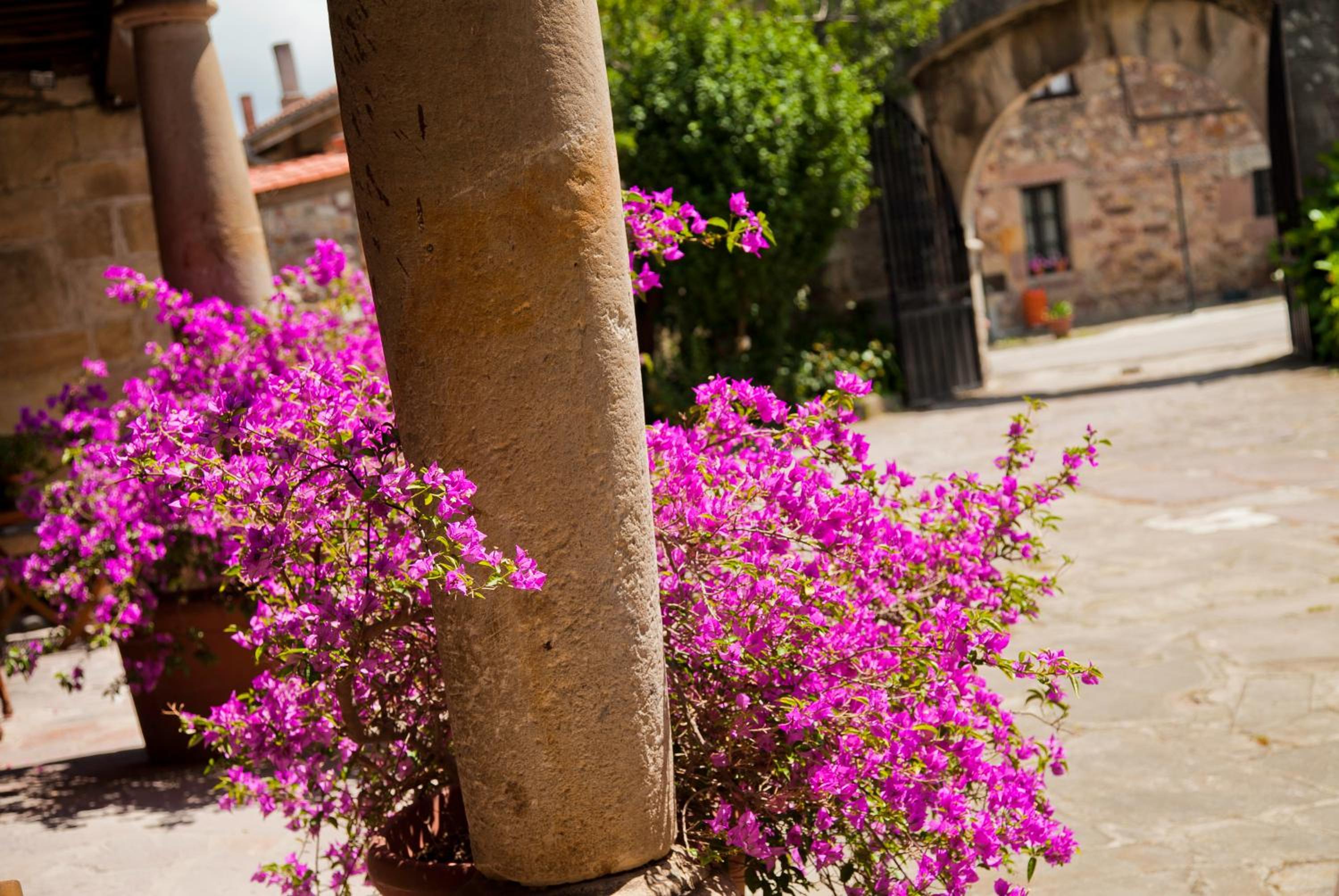 Casa Velarde - Property Image 118