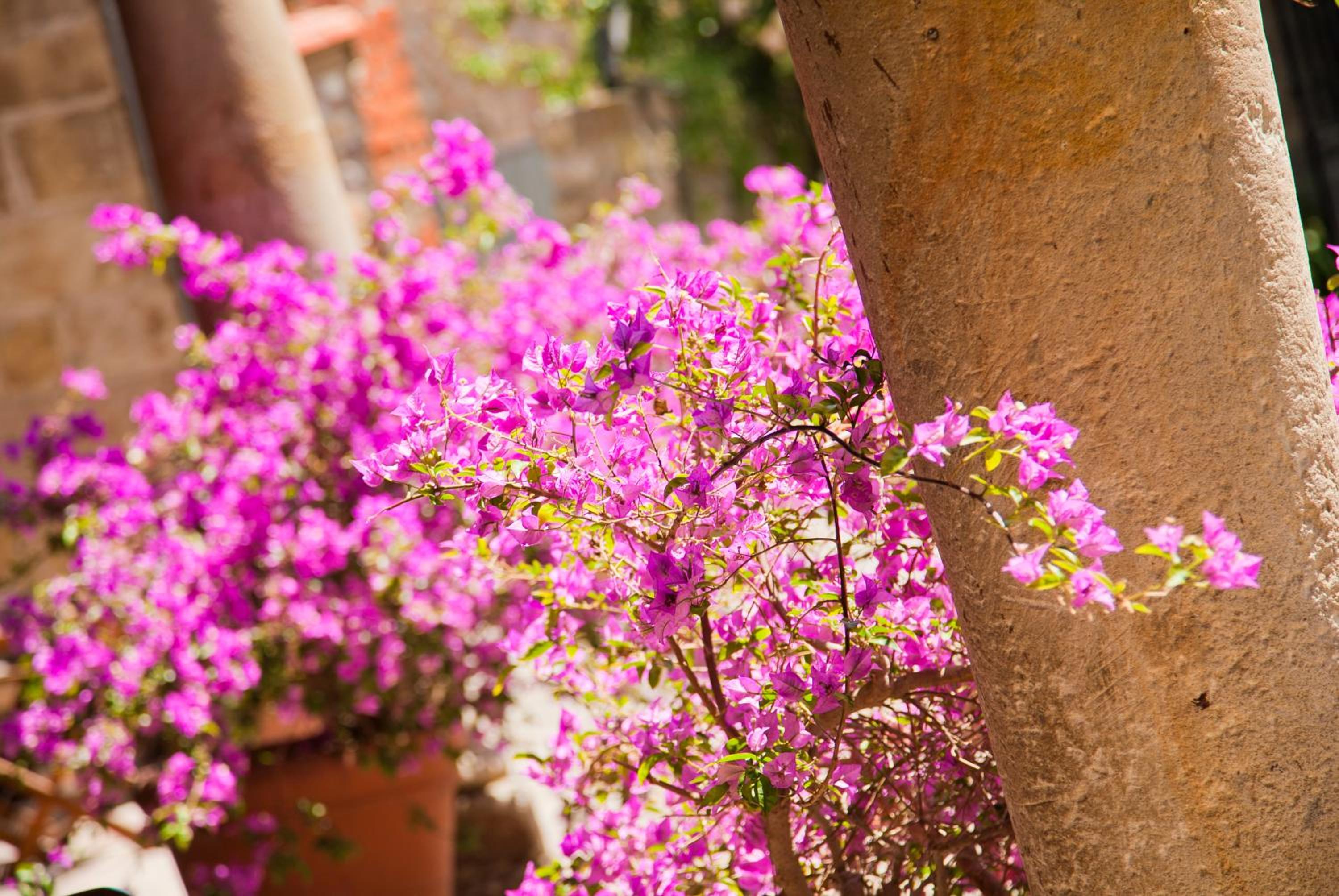 Casa Velarde - Property Image 119