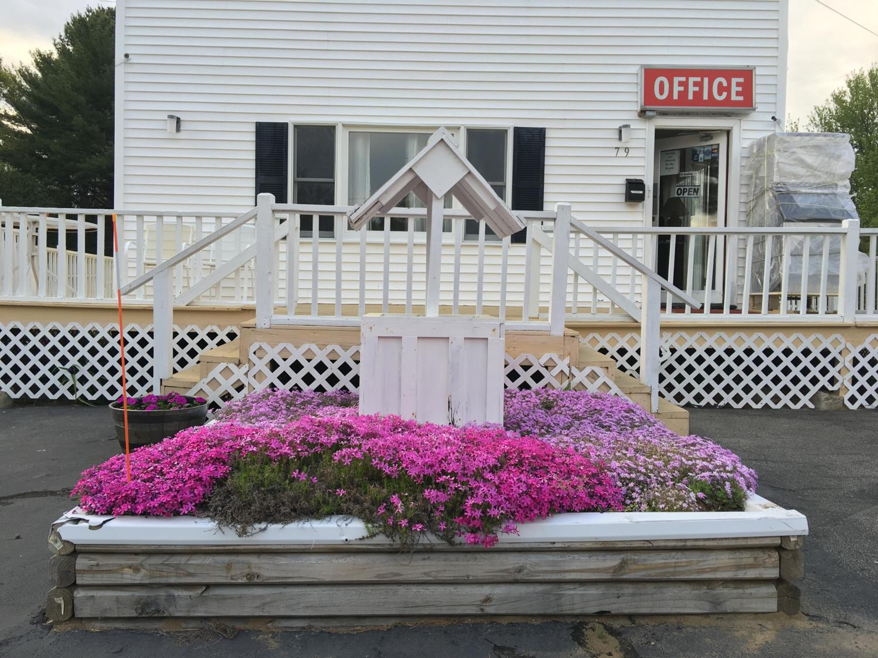 Knotty Pine Motel view 5