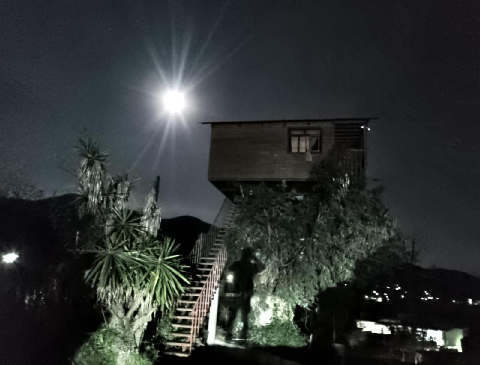 Trini Treehouse By GEstores