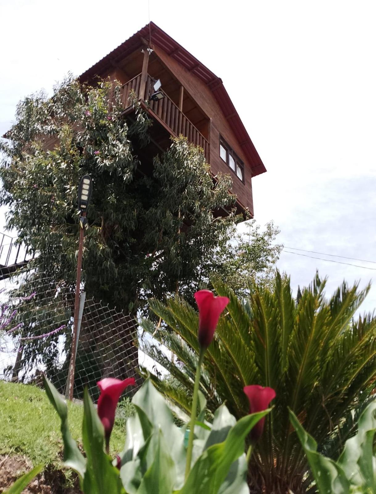 Trini Treehouse By GEstores