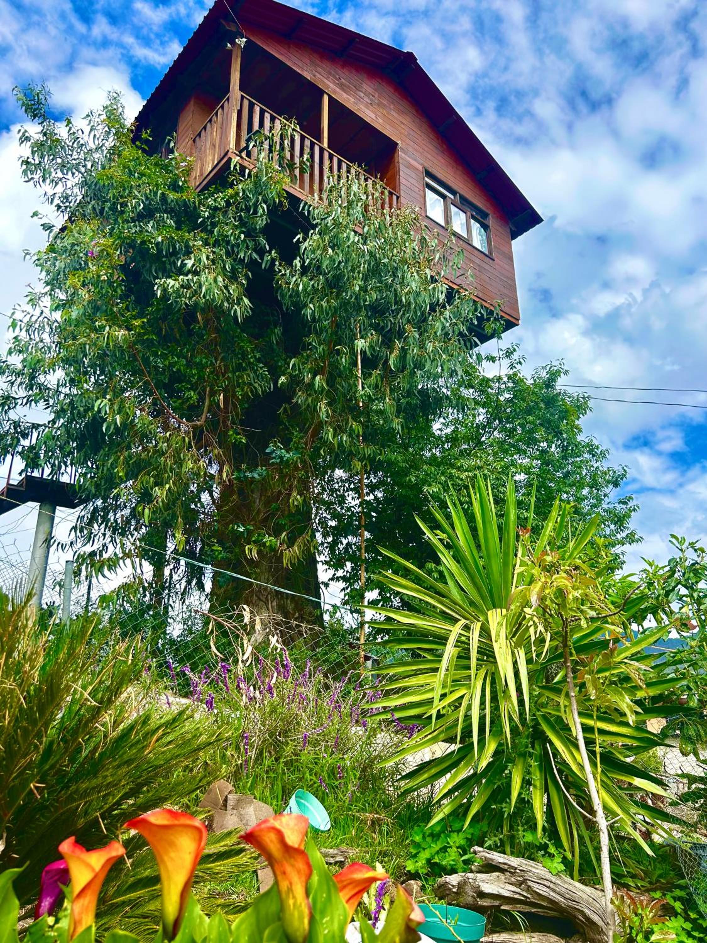 Trini Treehouse By GEstores