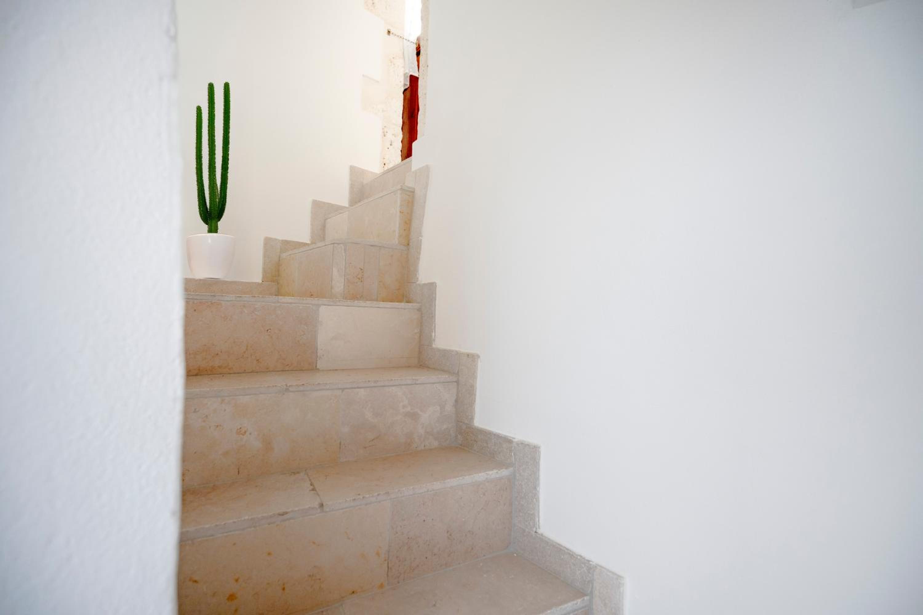 Mia & Mimì - Ostuni, Home of Animal Lovers!