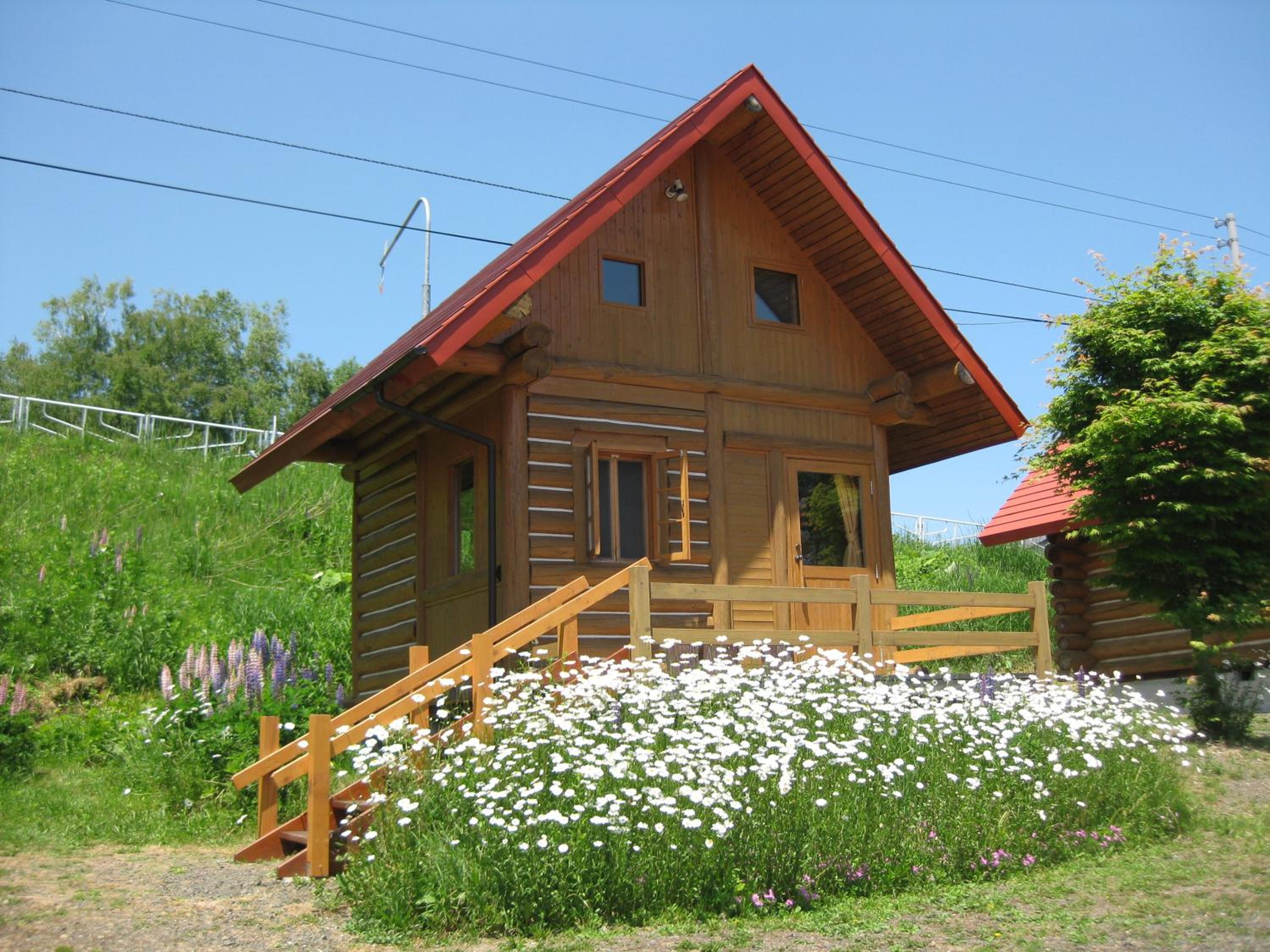 Photo 16