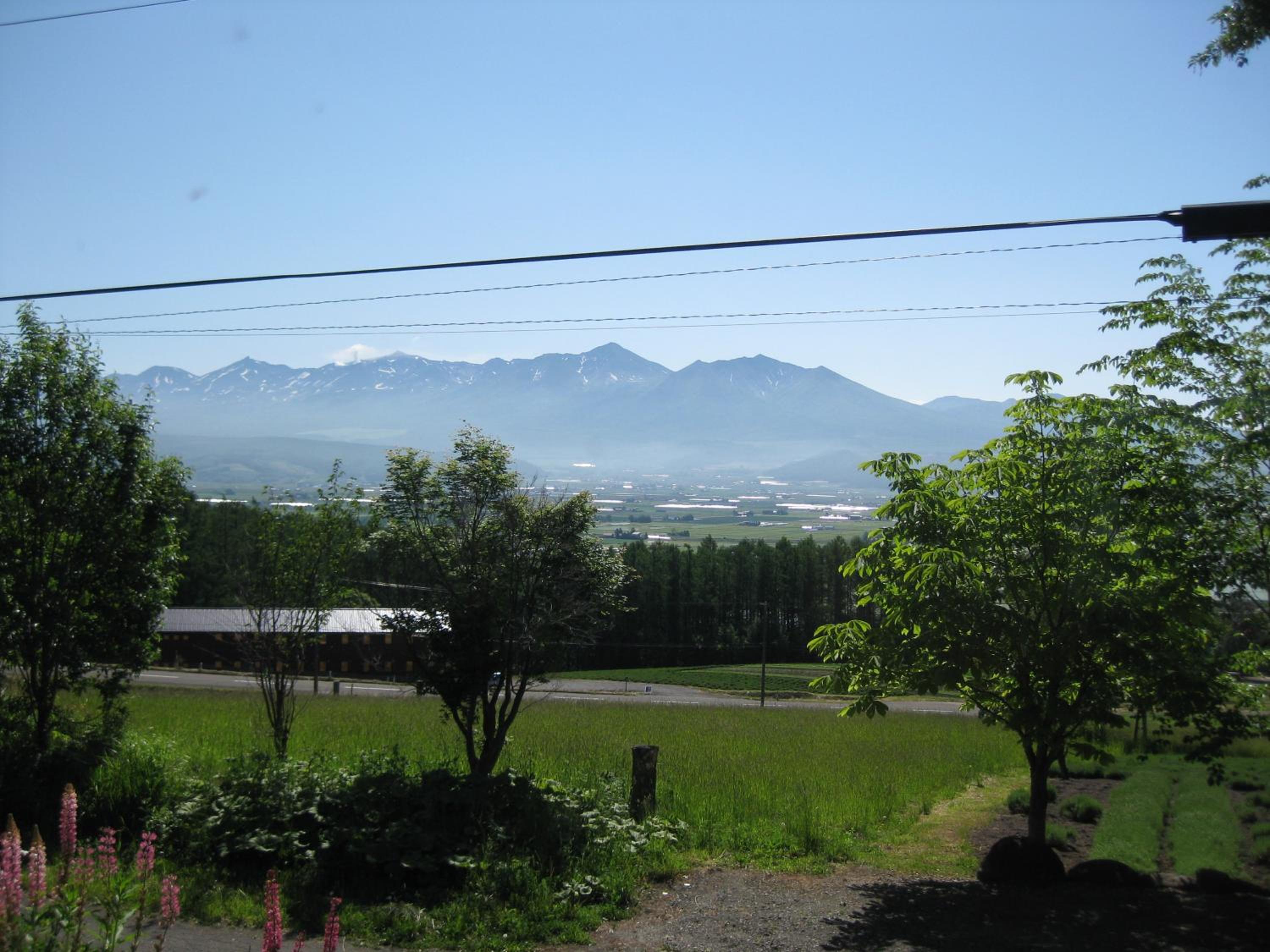 Photo 25