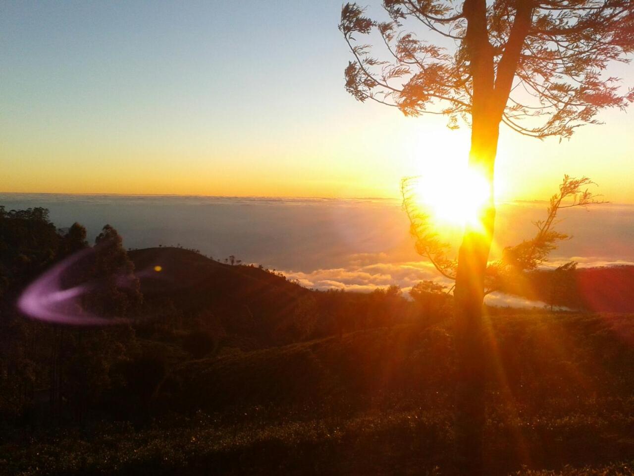 Bel View Guest House