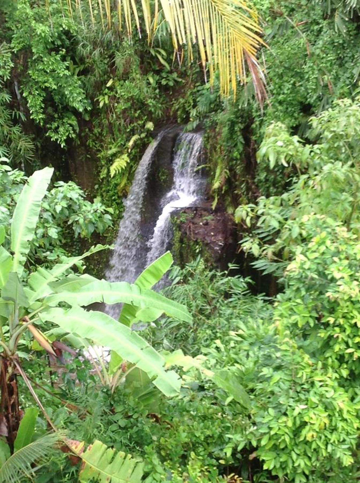 Photo 42