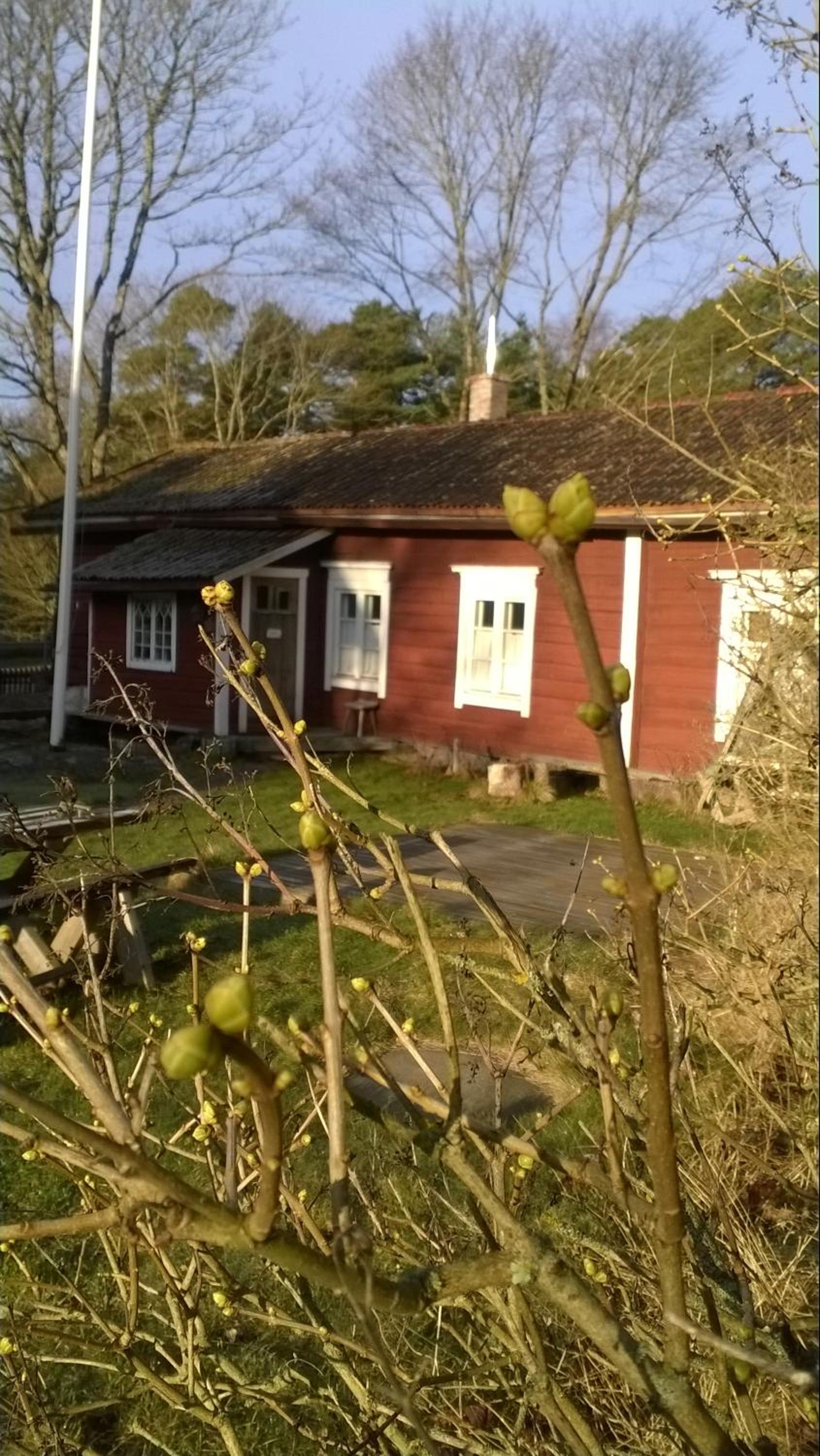 Photo 19