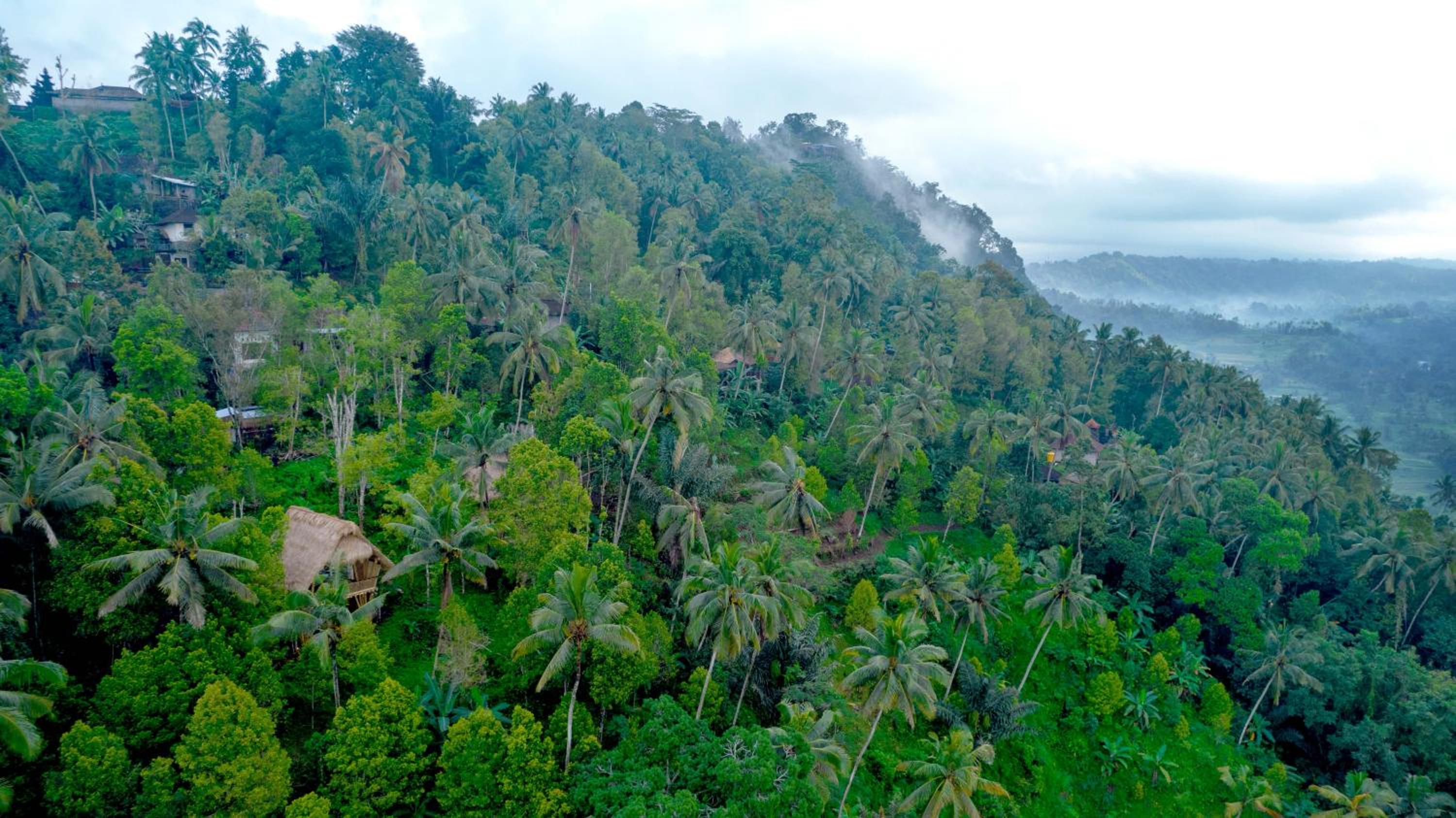 Ayo Hill Villa By Samhita Bali