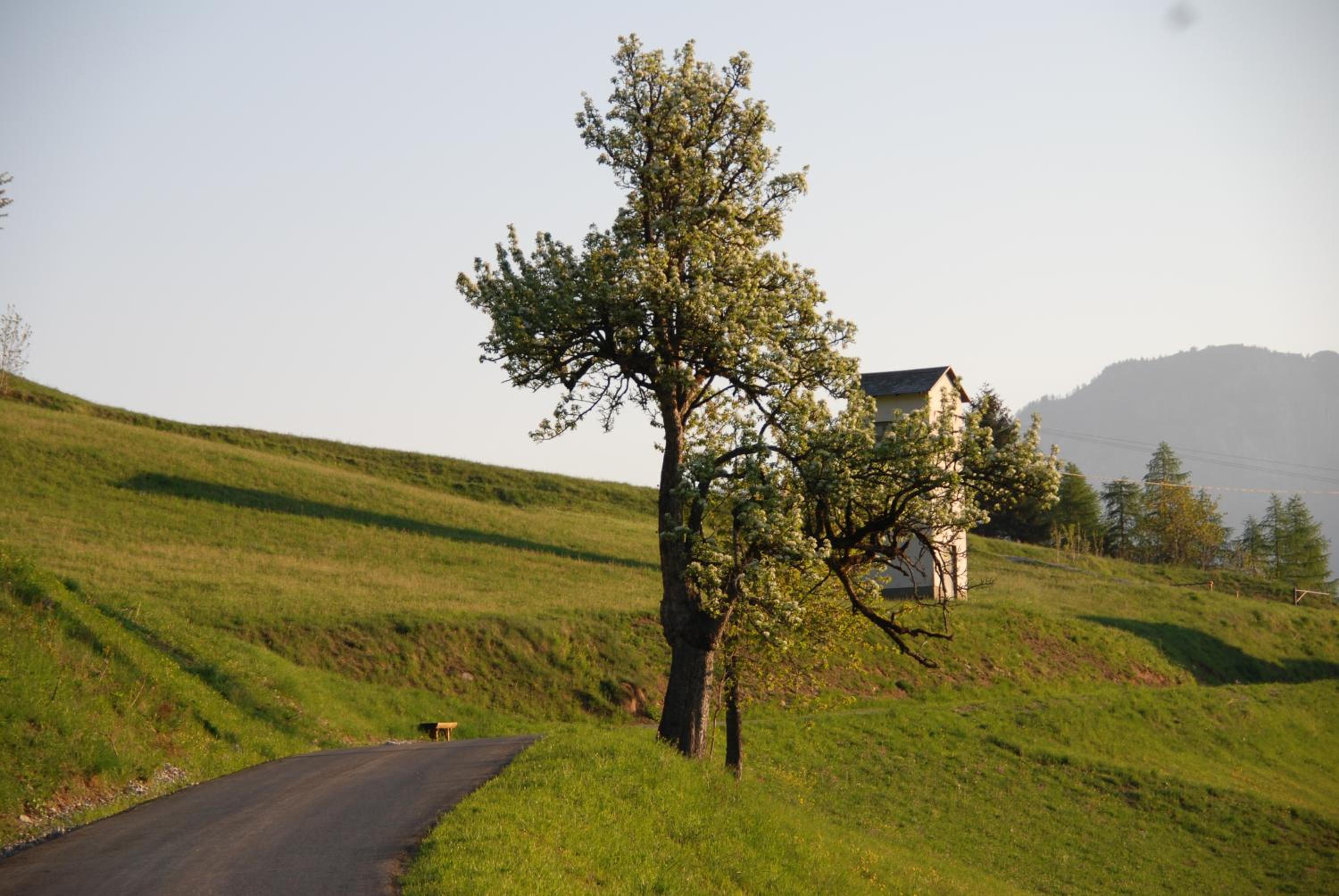 Gasthof Lamprechtbauer