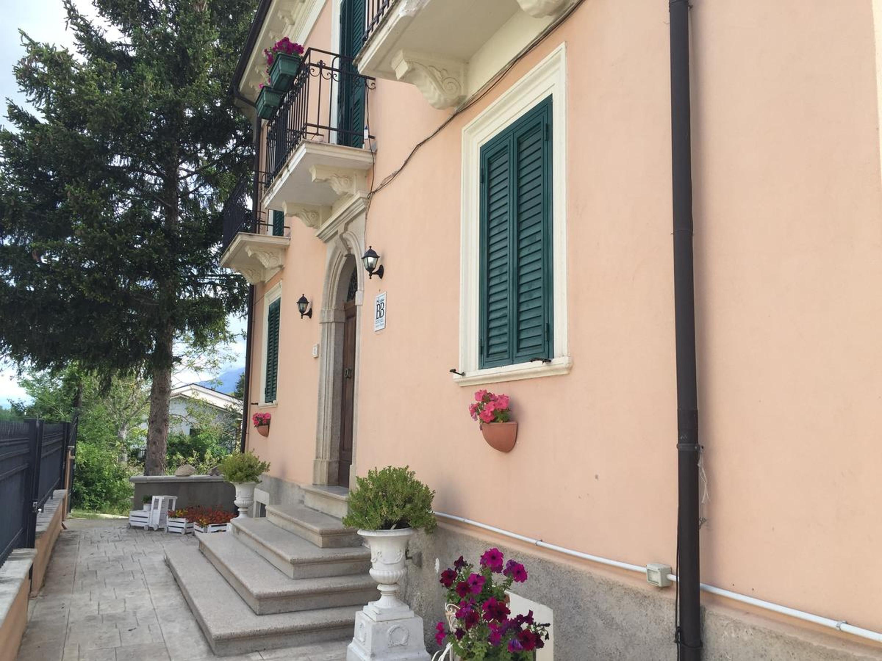 Photo 11