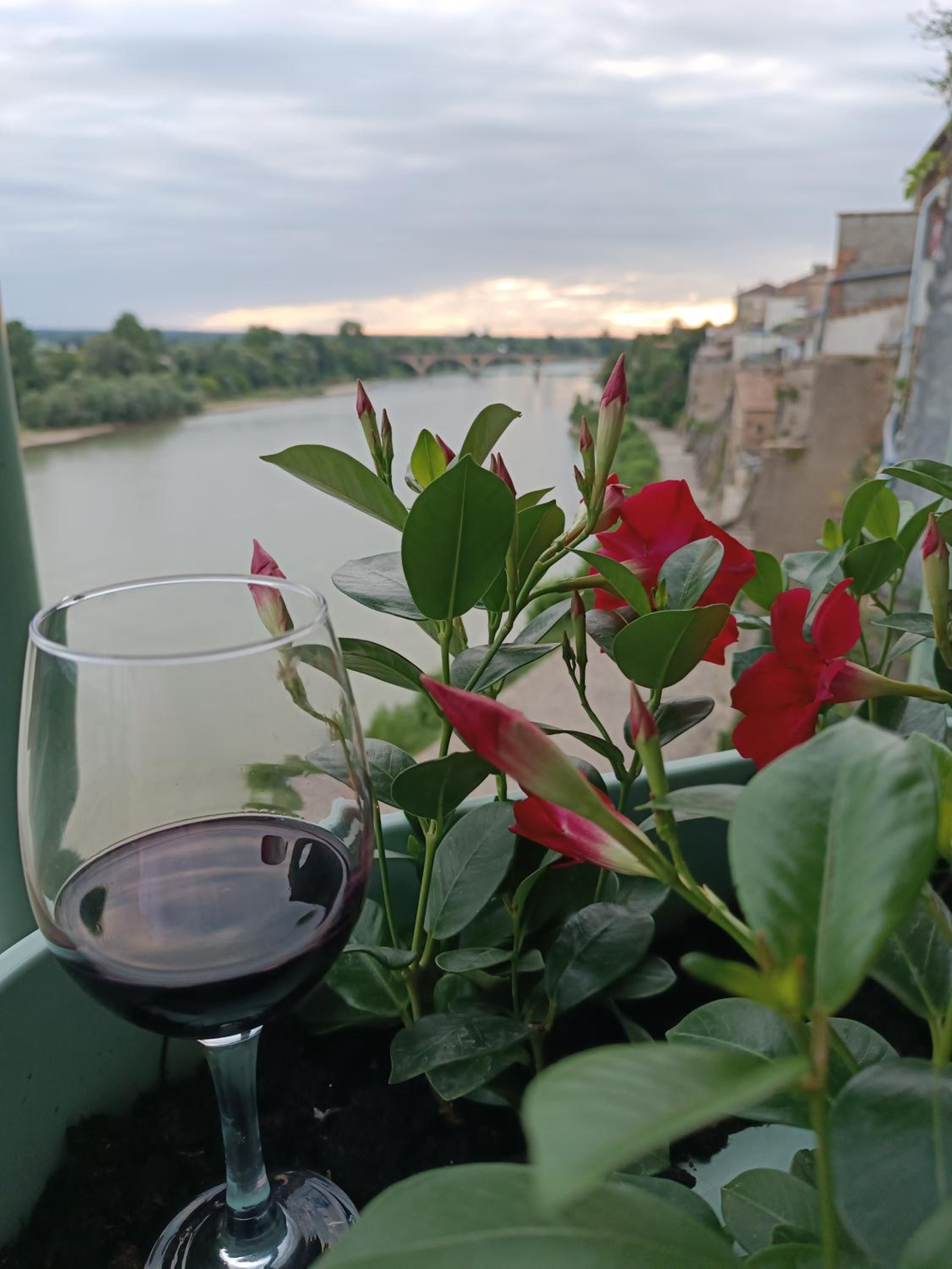 CÔTE GARONNE le BALCON DES DAMES -hôtel et restaurant- Tonneins Fauillet Marmande - panorama sur Garonne-climatisé- accueil vélo- soirée étape- chambre fam, photo 33