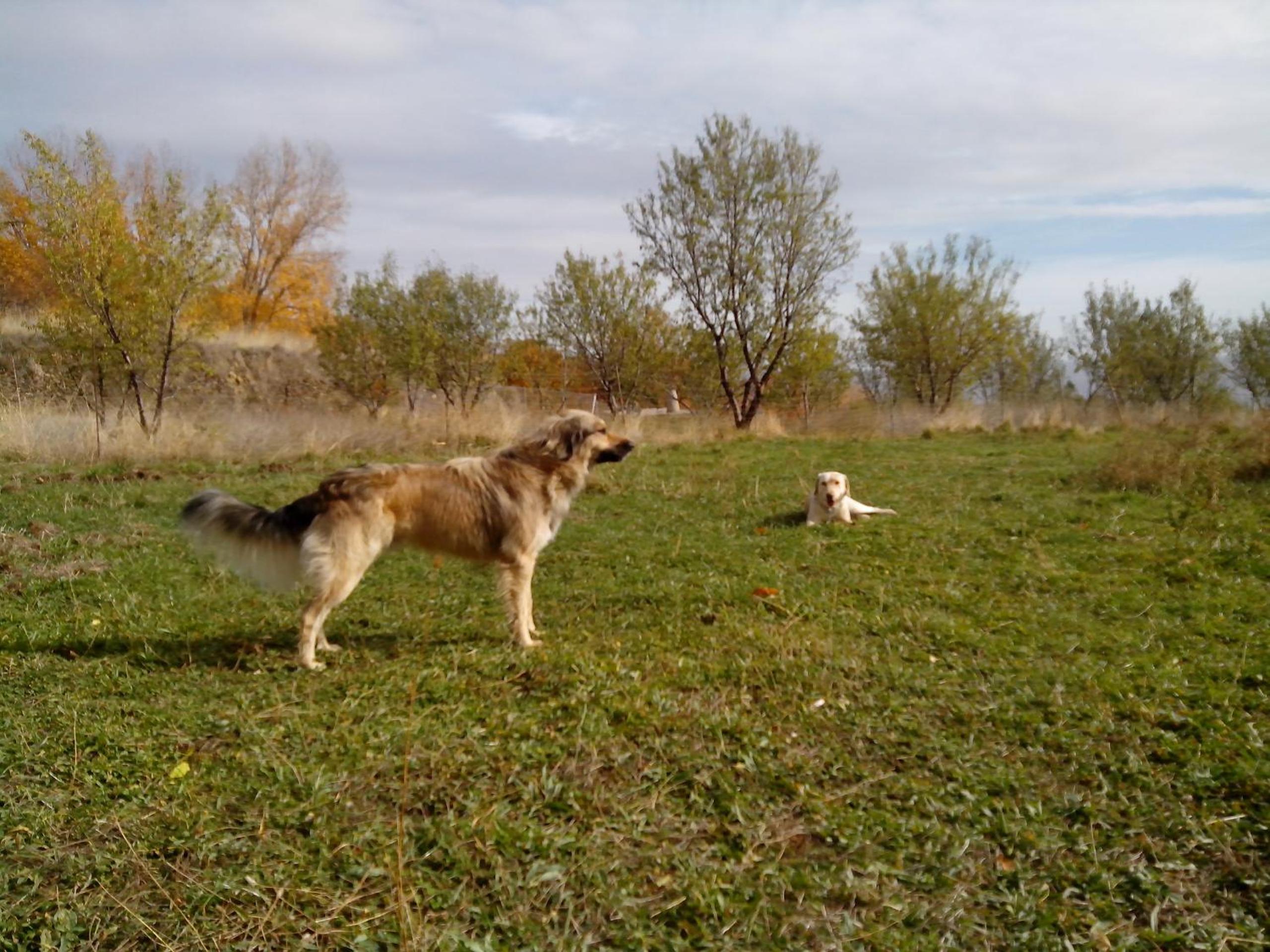 Photo 20