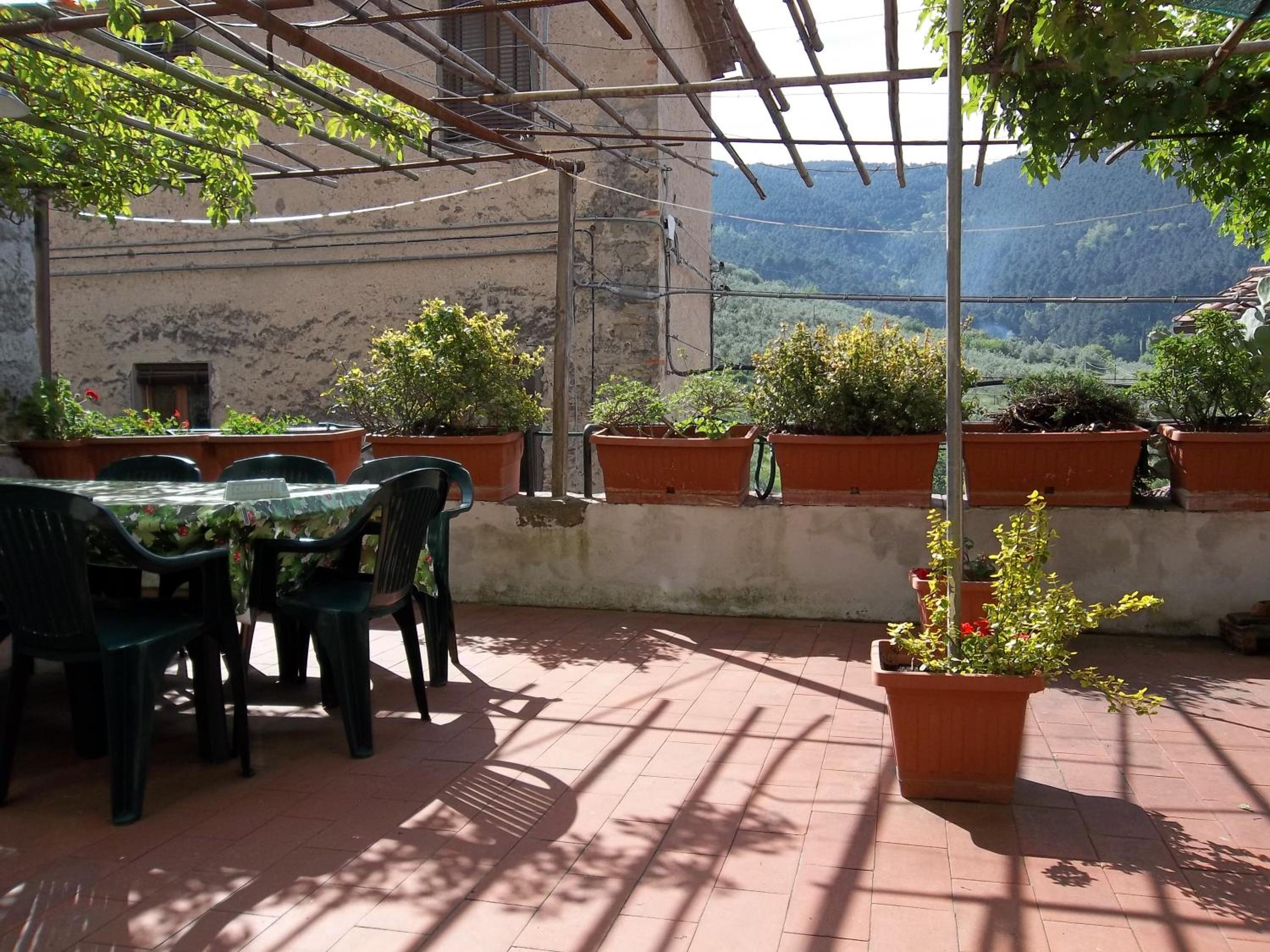 Casa David