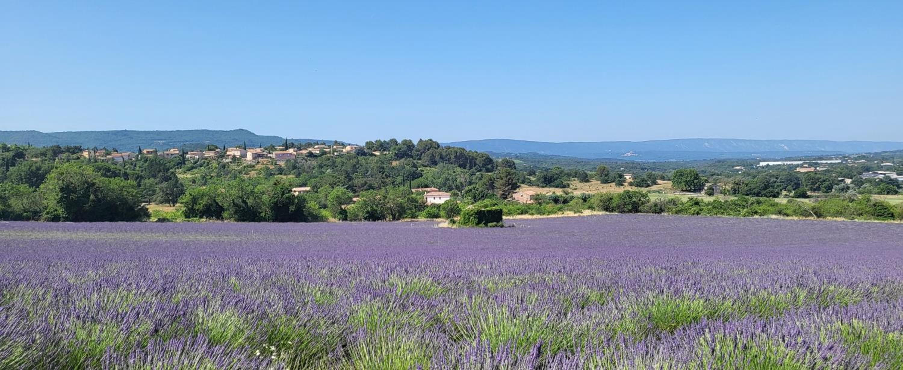 L’Abrico’thym, photo 2