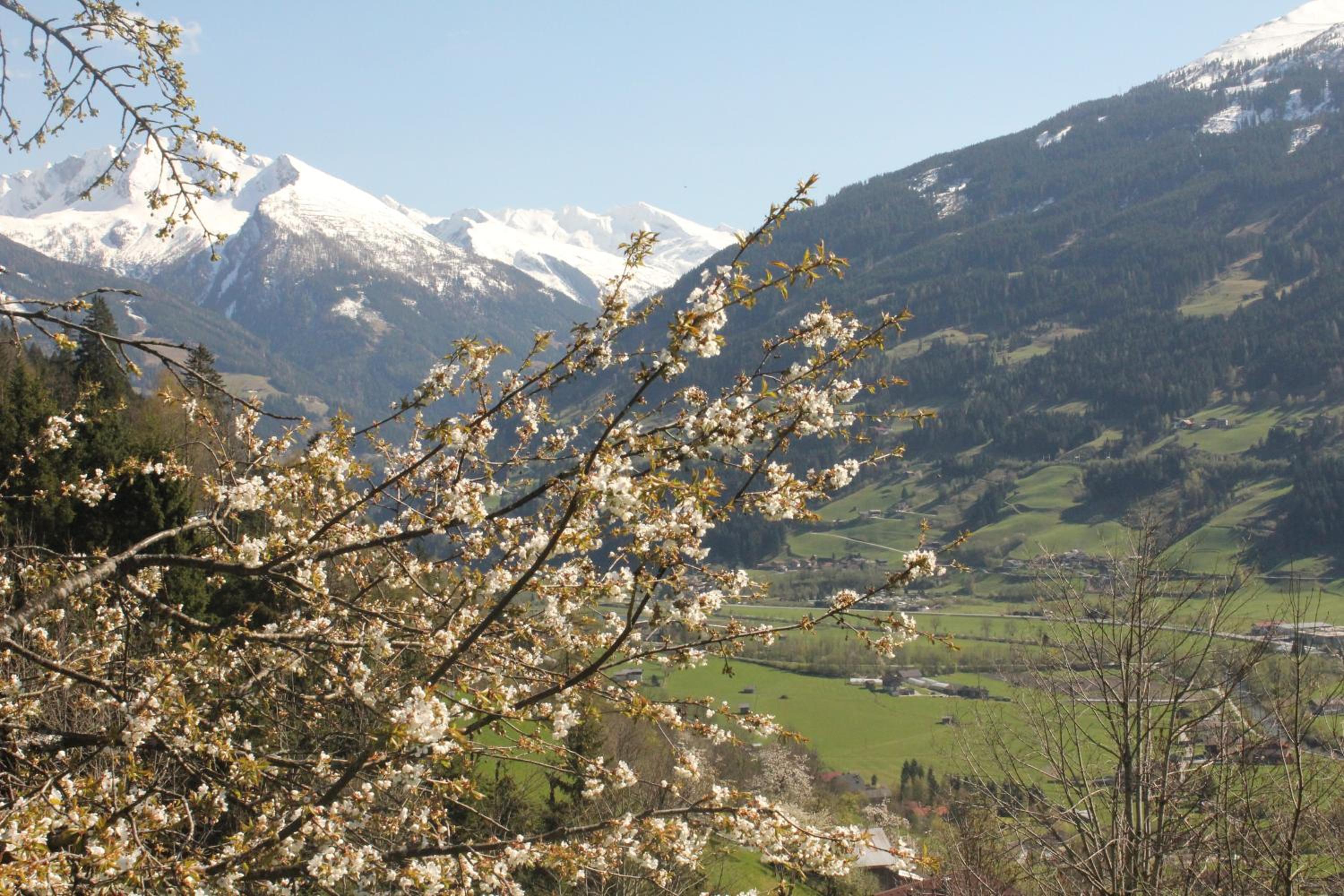 Bauernhof Grussberggut GRATIS THERME & SOMMERBERGBAHN