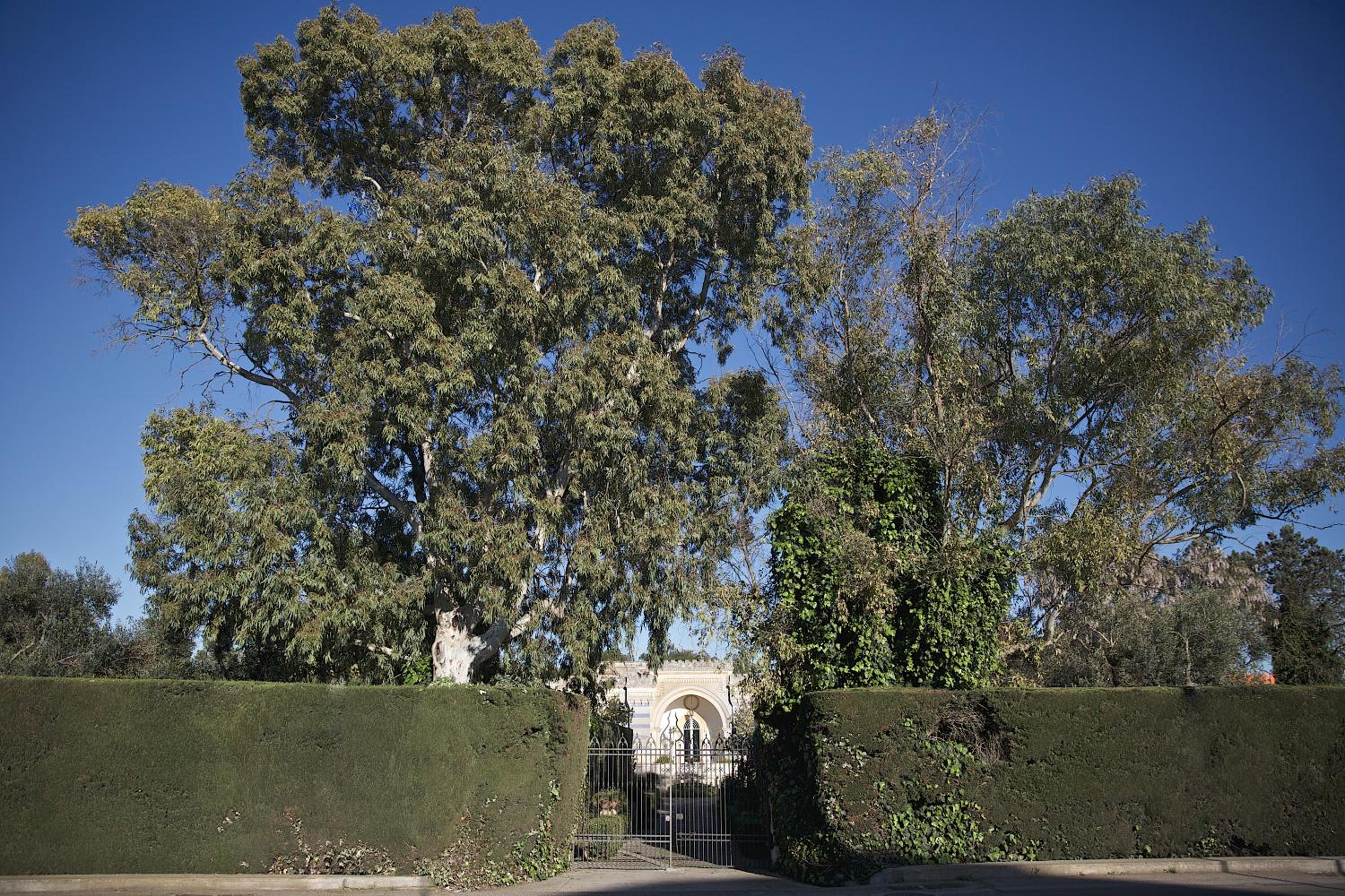 La Serra - Villa De Bonis