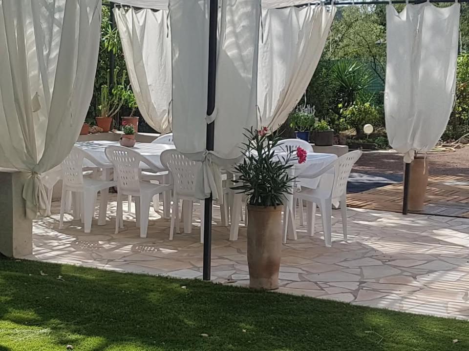 Mas Provençal au Cannet des Maures, photo 26