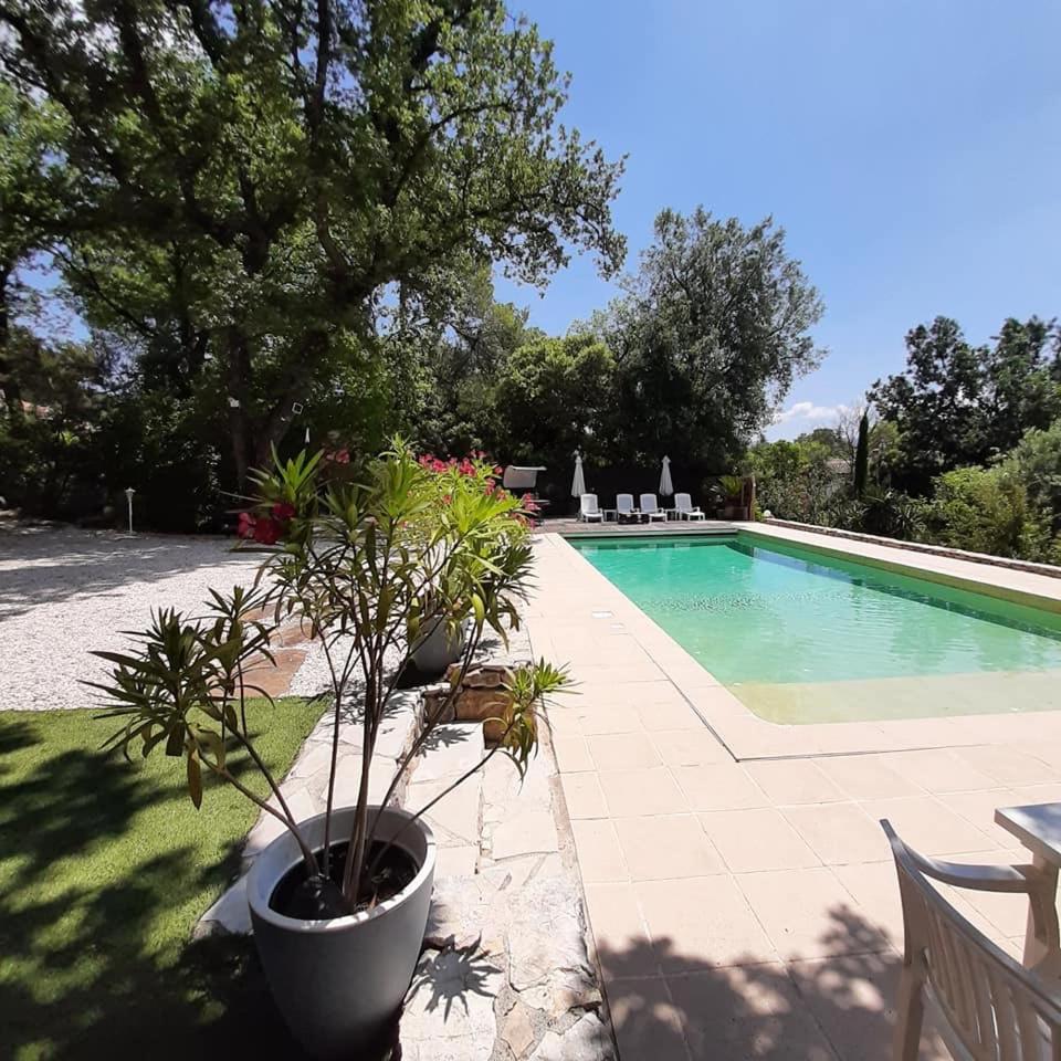 Mas Provençal au Cannet des Maures, photo 9