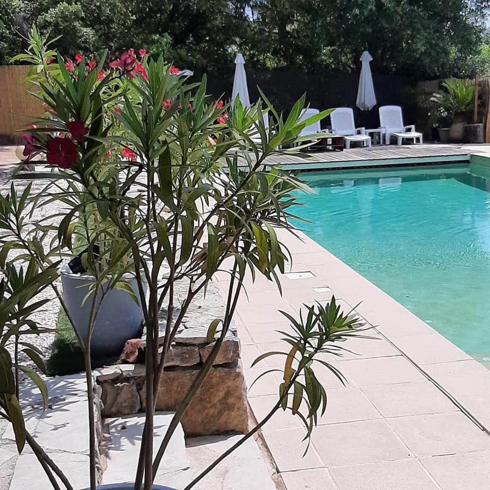 Mas Provençal au Cannet des Maures, photo 37