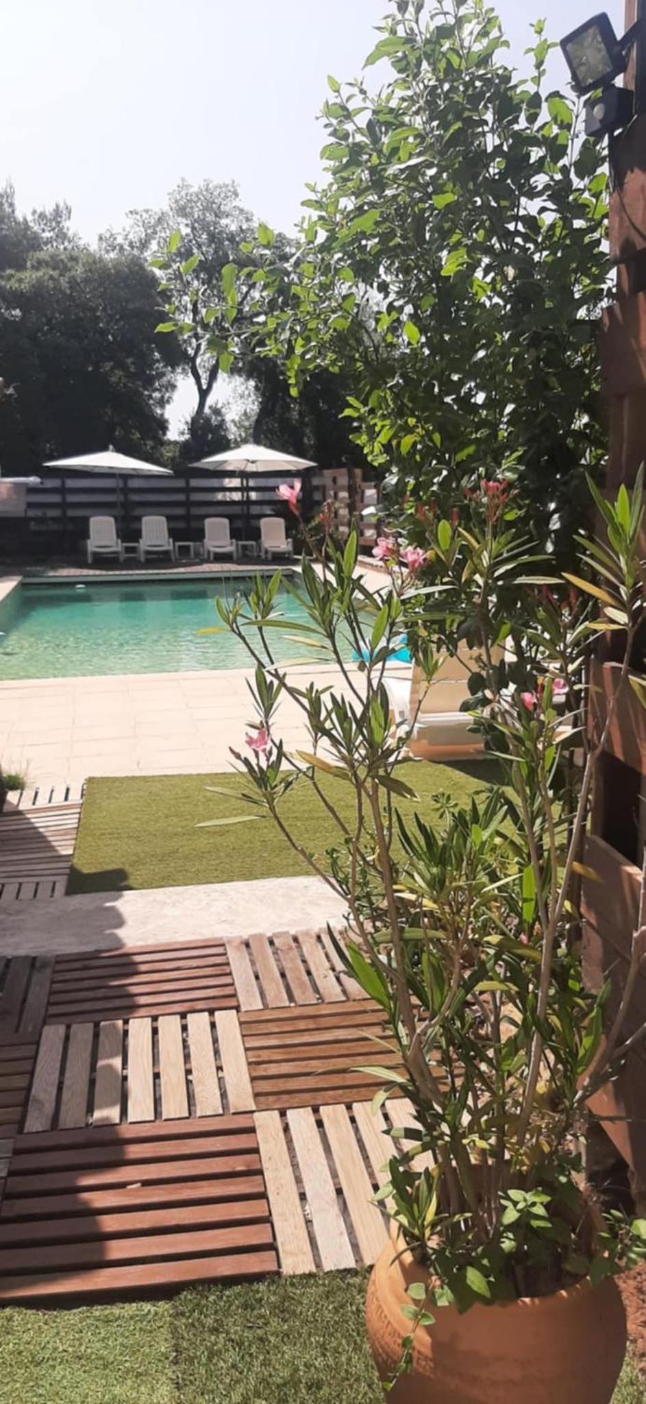 Mas Provençal au Cannet des Maures, photo 25
