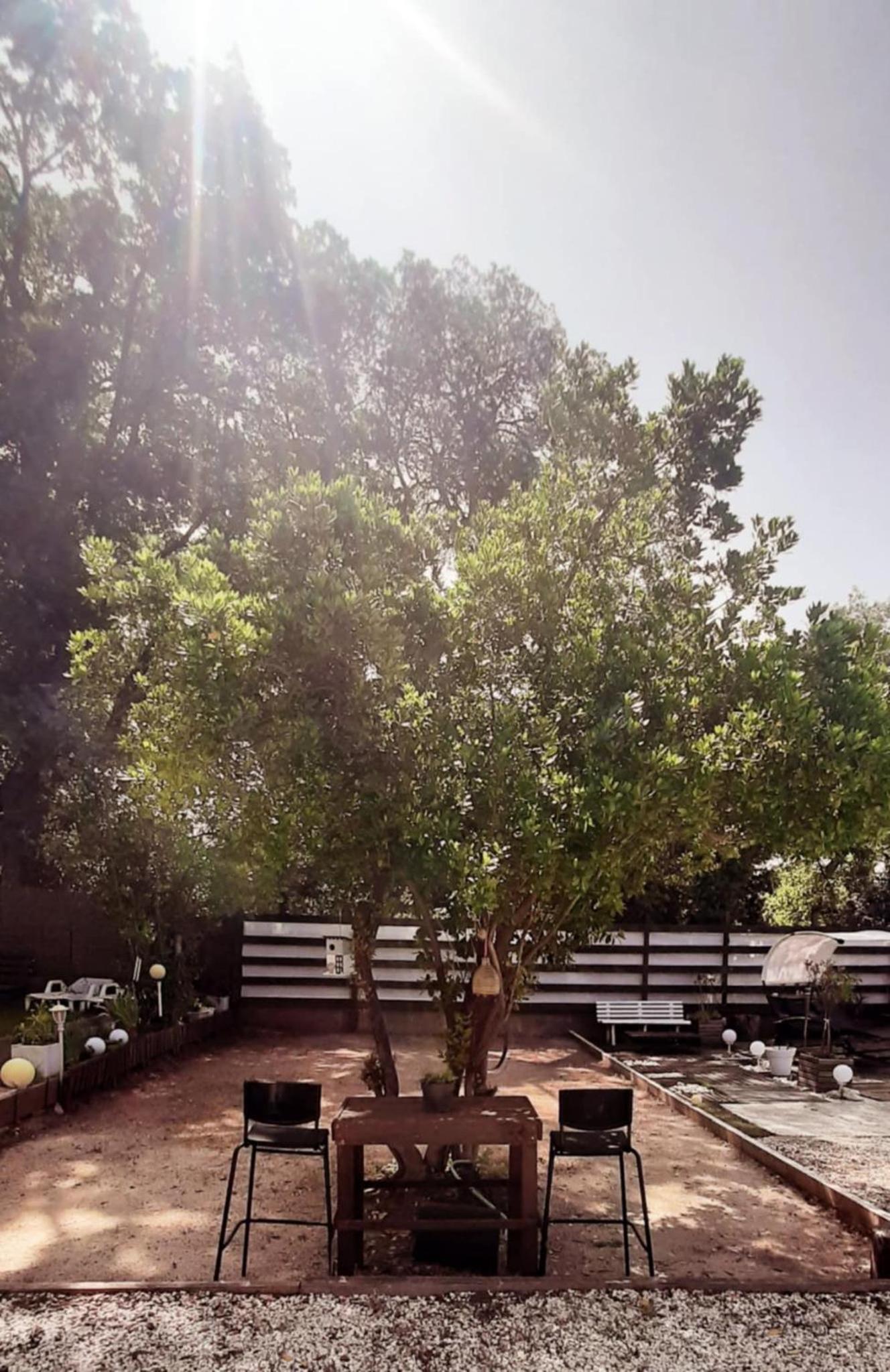 Mas Provençal au Cannet des Maures, photo 47