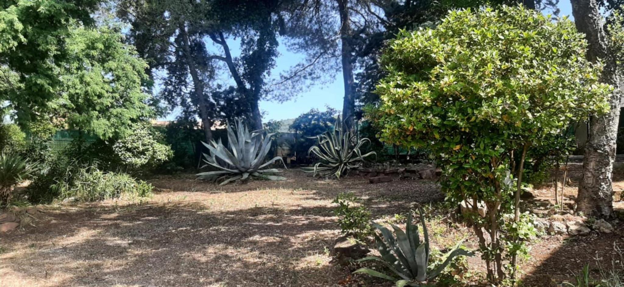 Mas Provençal au Cannet des Maures, photo 53