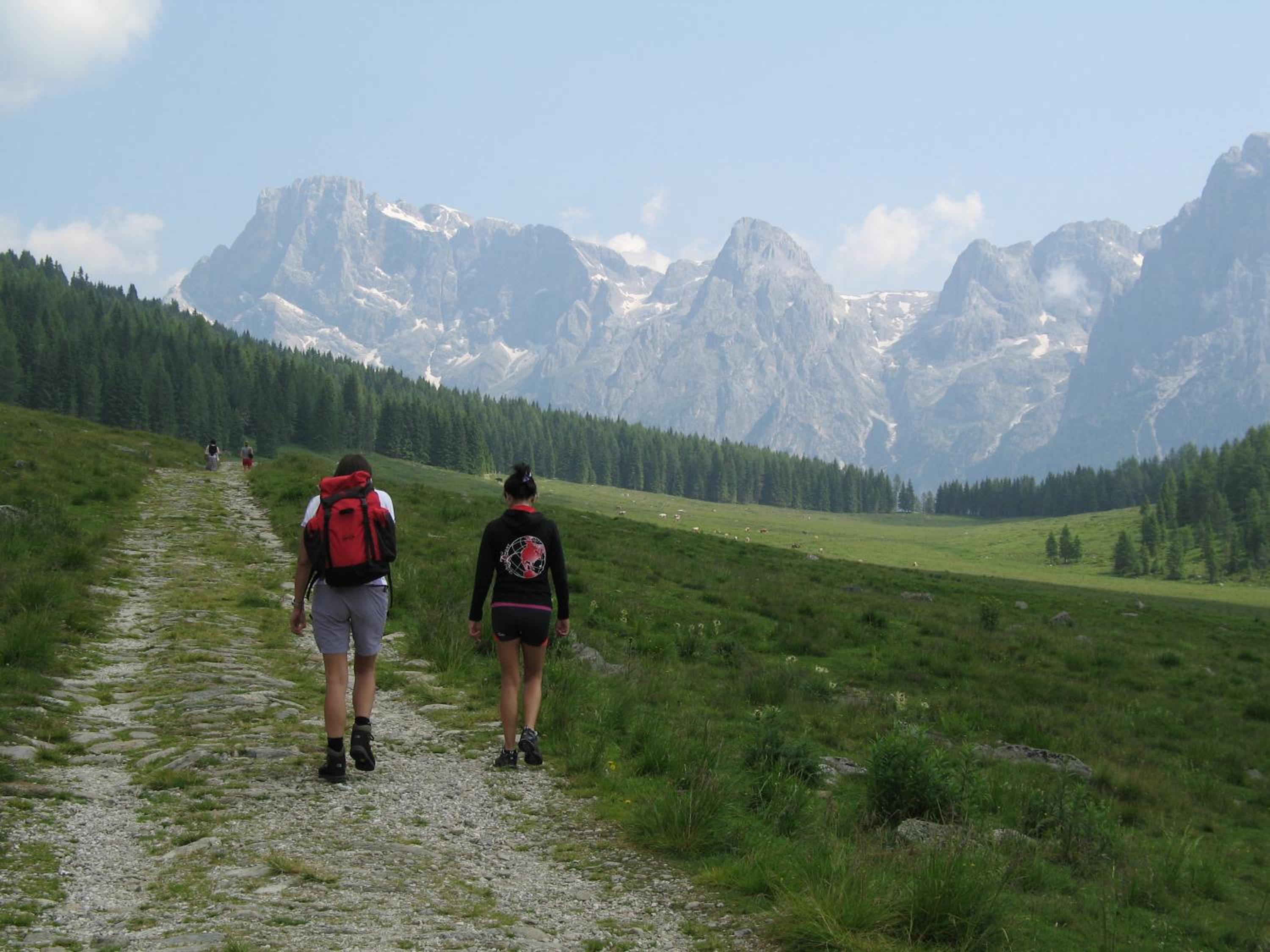 Photo 40