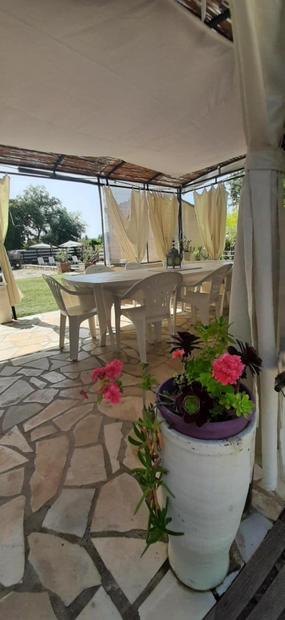 Mas Provençal au Cannet des Maures, photo 10
