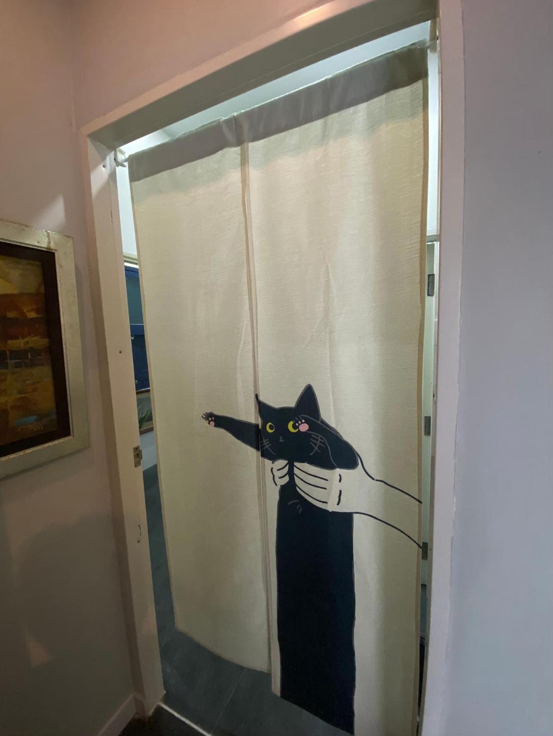 Cat in the box homestay