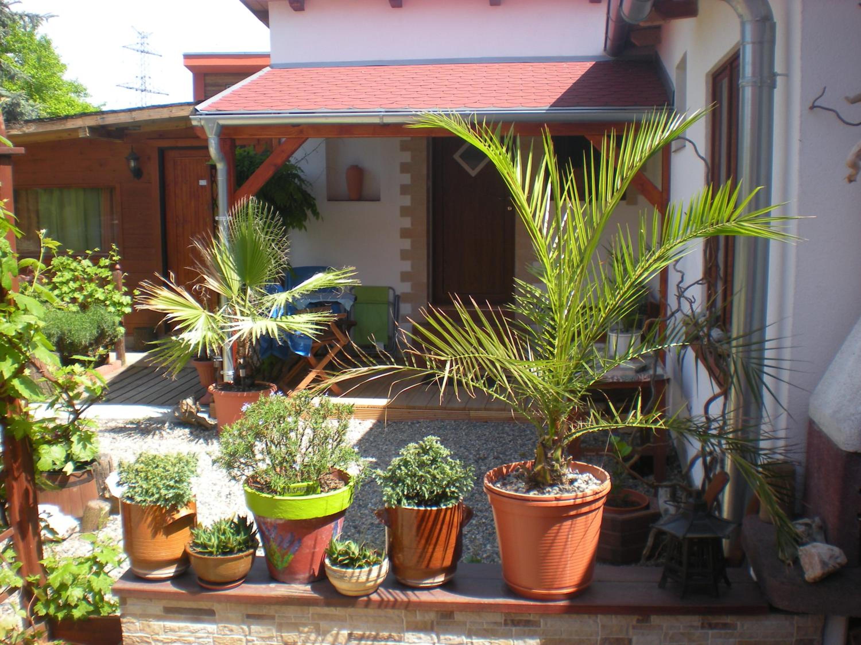 Sophia Cozy Self Catering Apartment