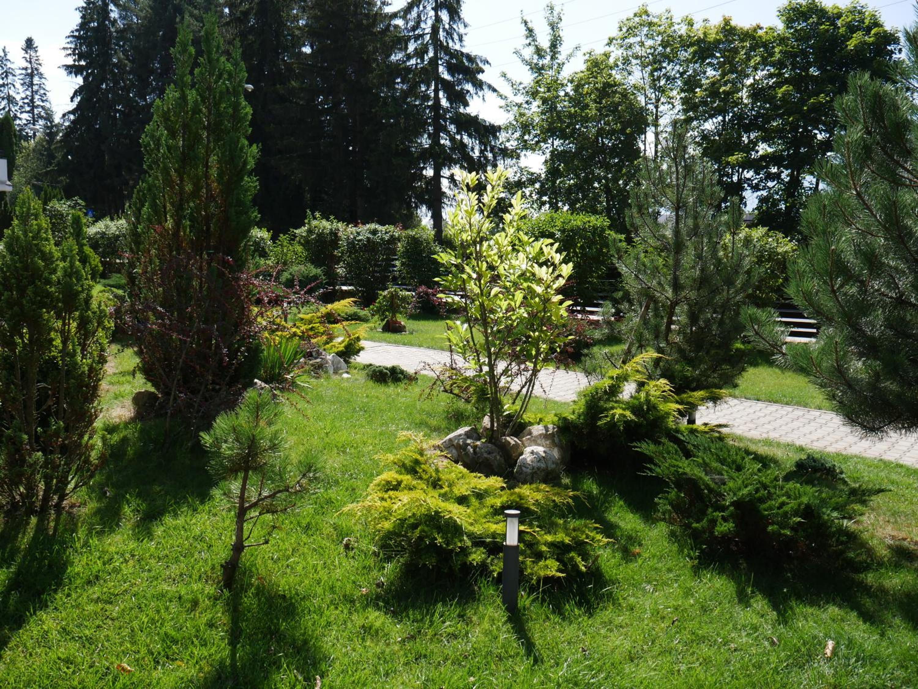 Hotel Carpați, photo 39