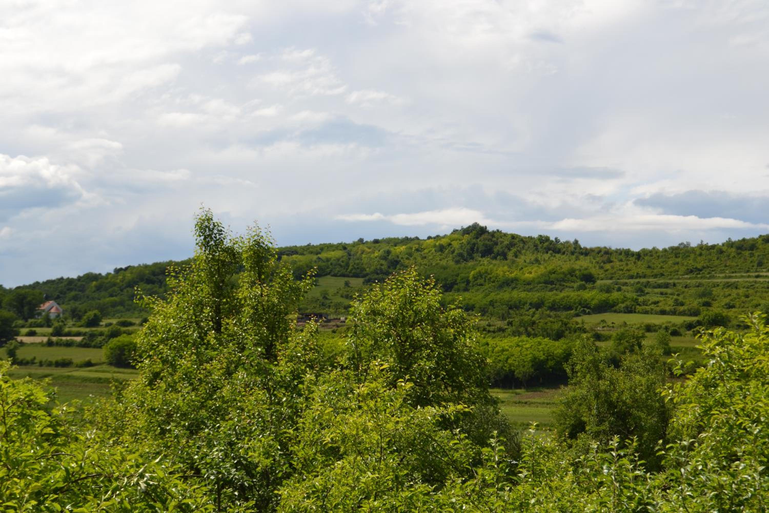 Apartman Anka view 4
