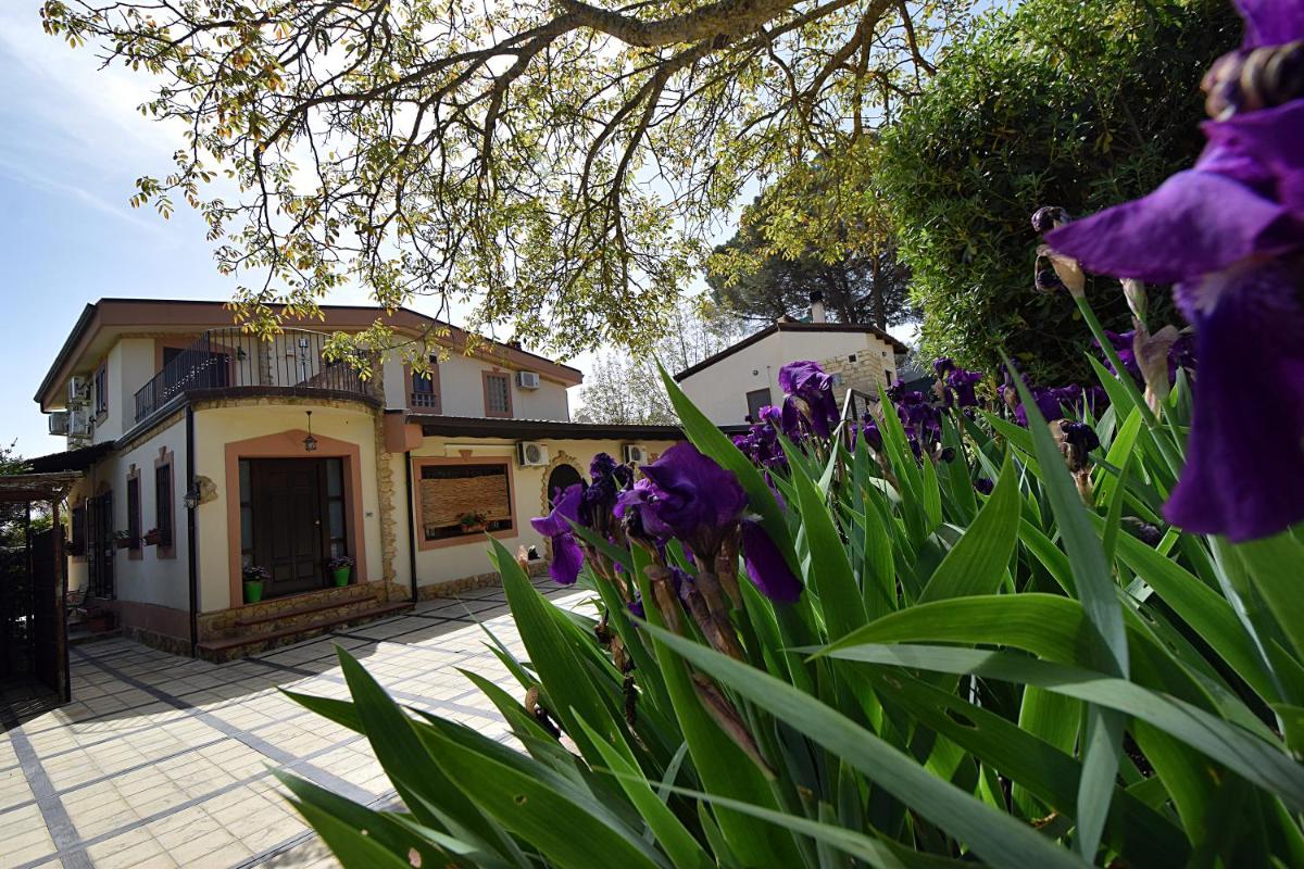 B&B Agave 64 view 5