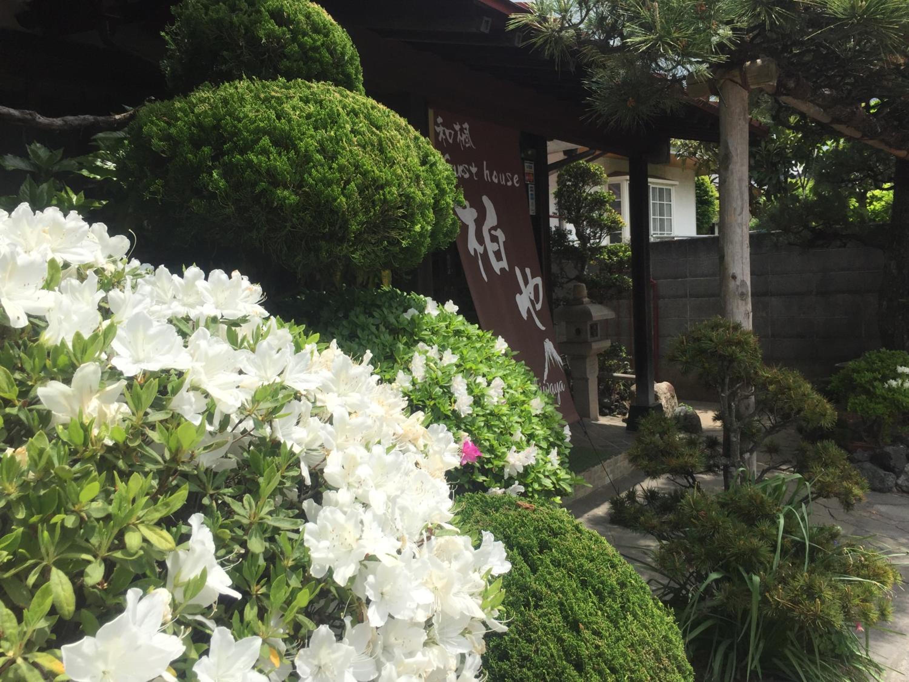 Wafu Guesthouse Kashiwaya