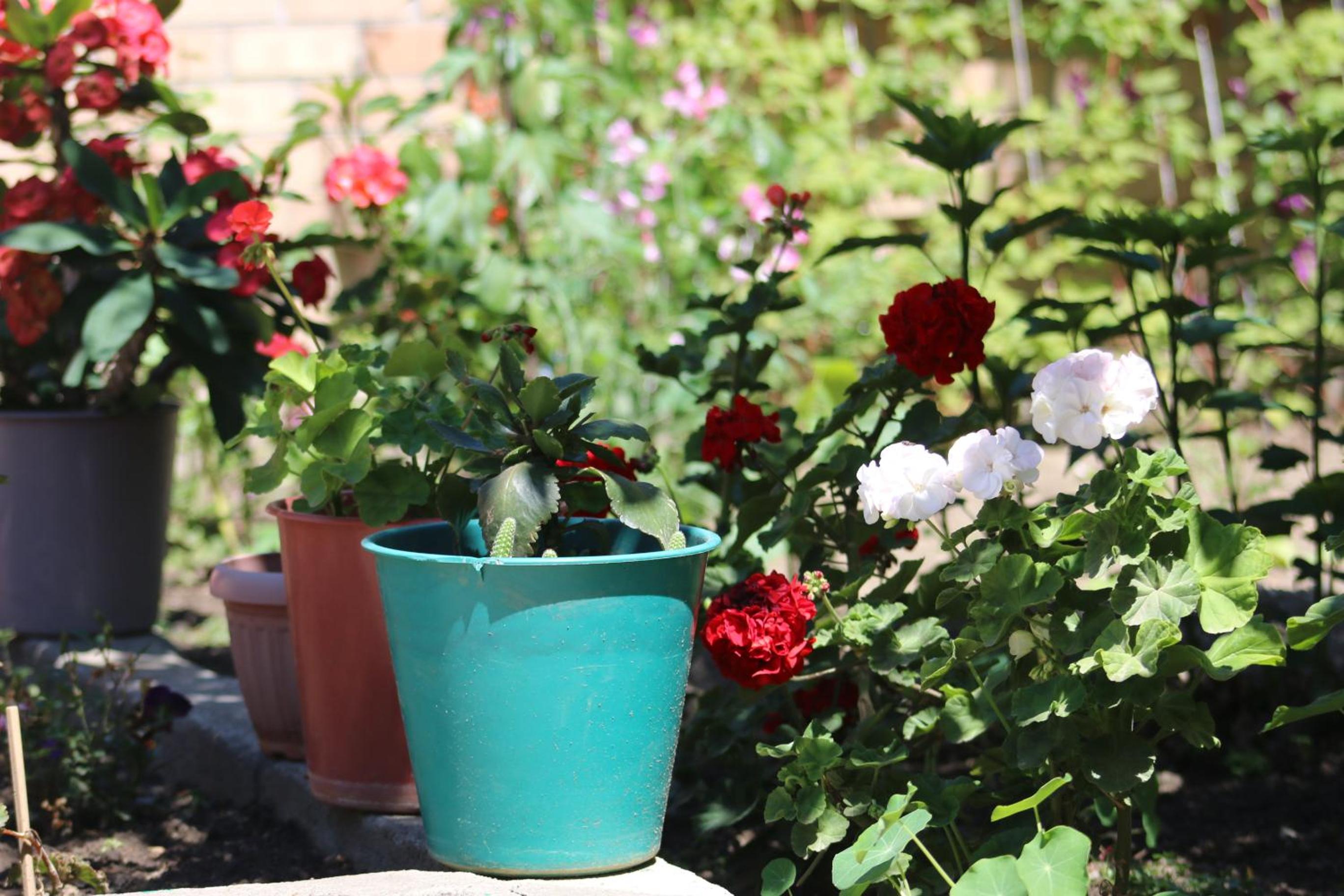 other