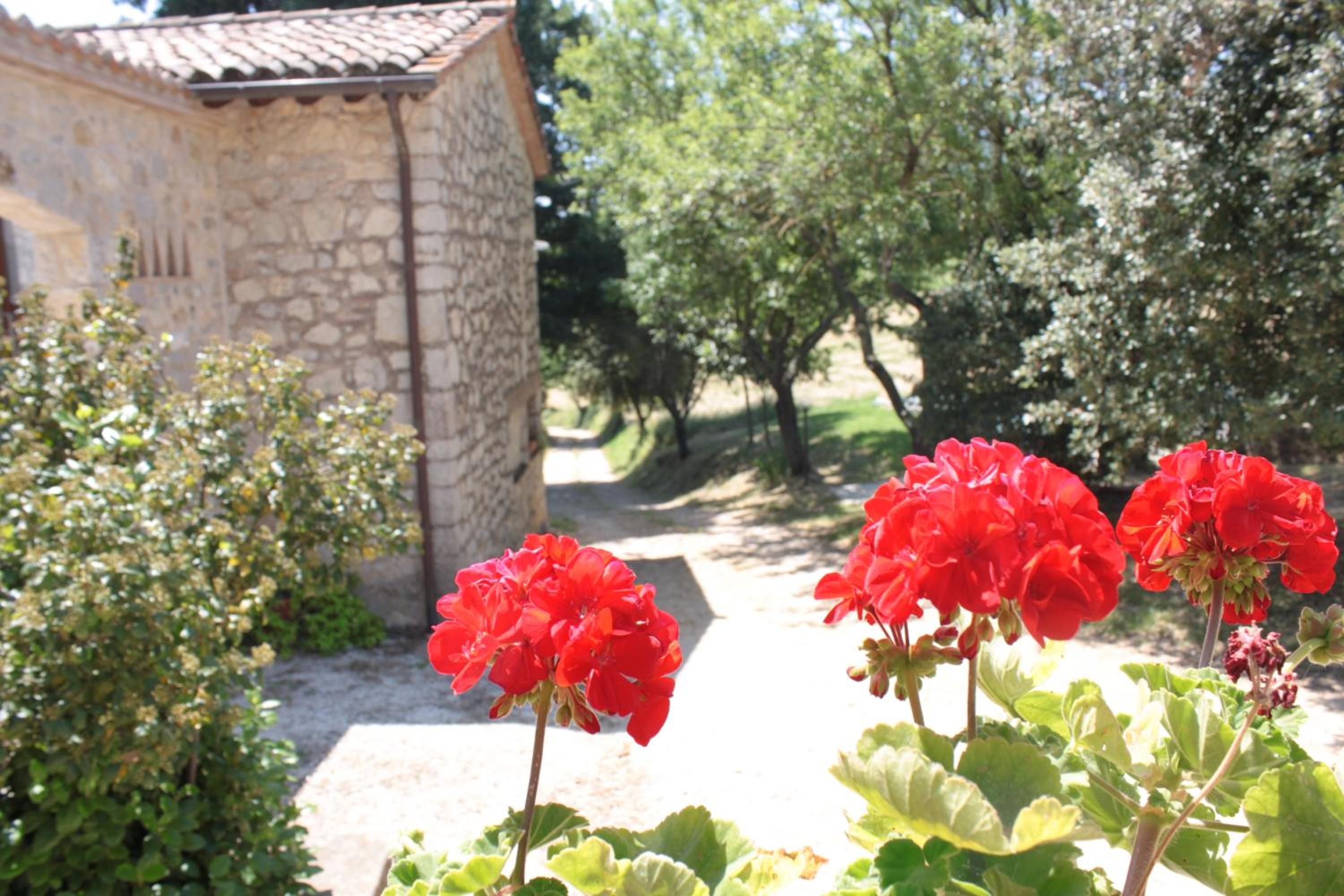 Photo 27