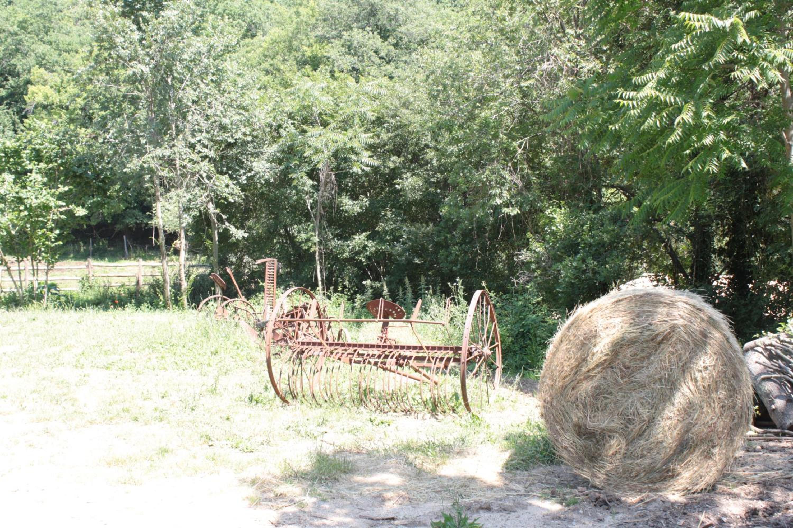 Photo 32