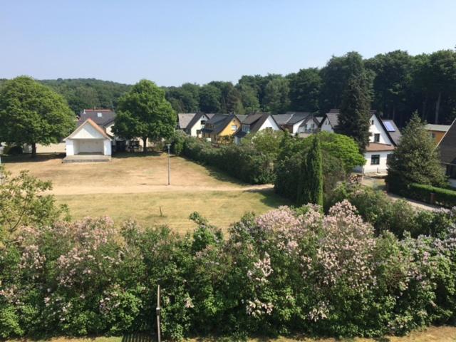 Pension Buchfink