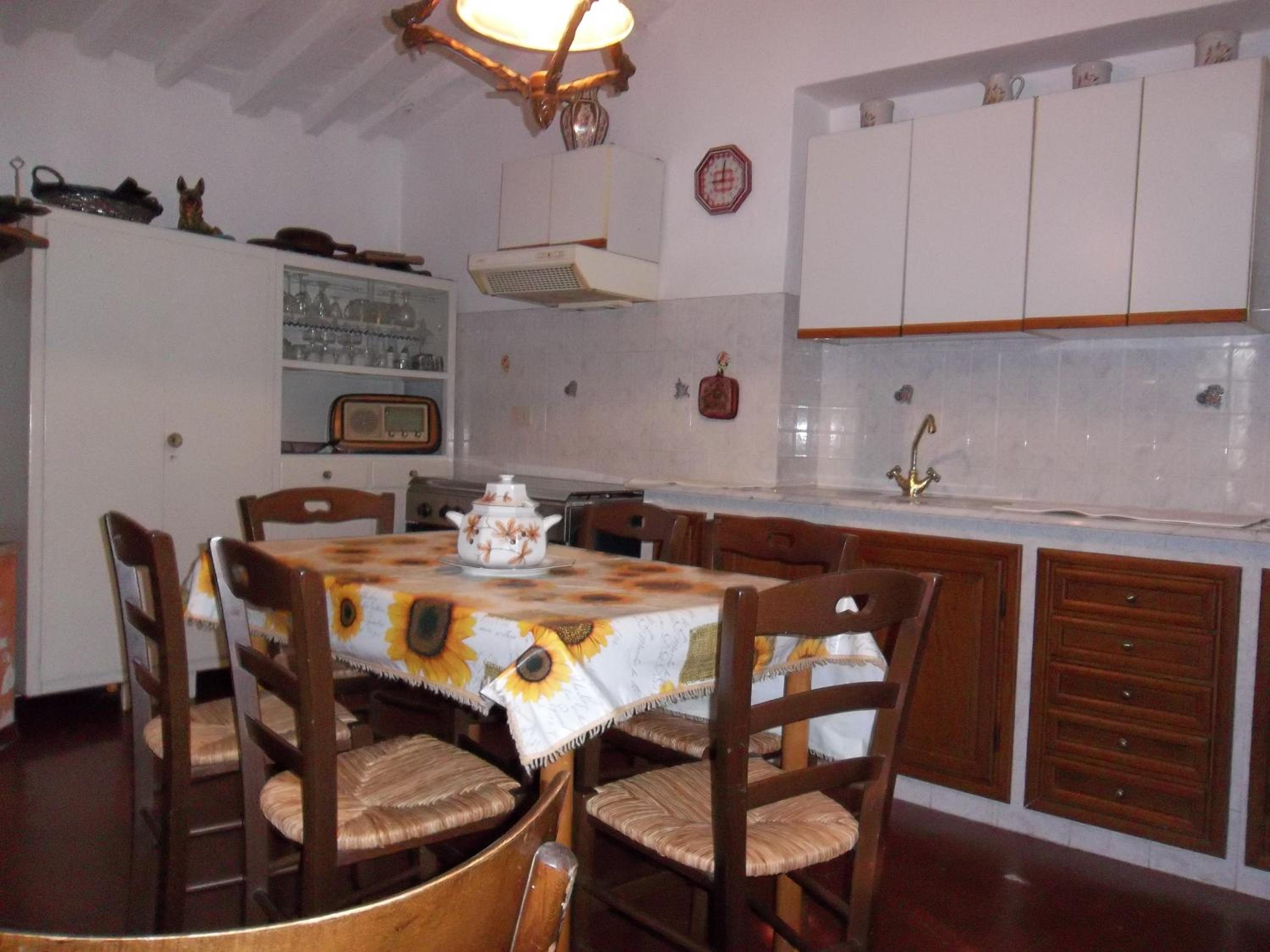 Casa David