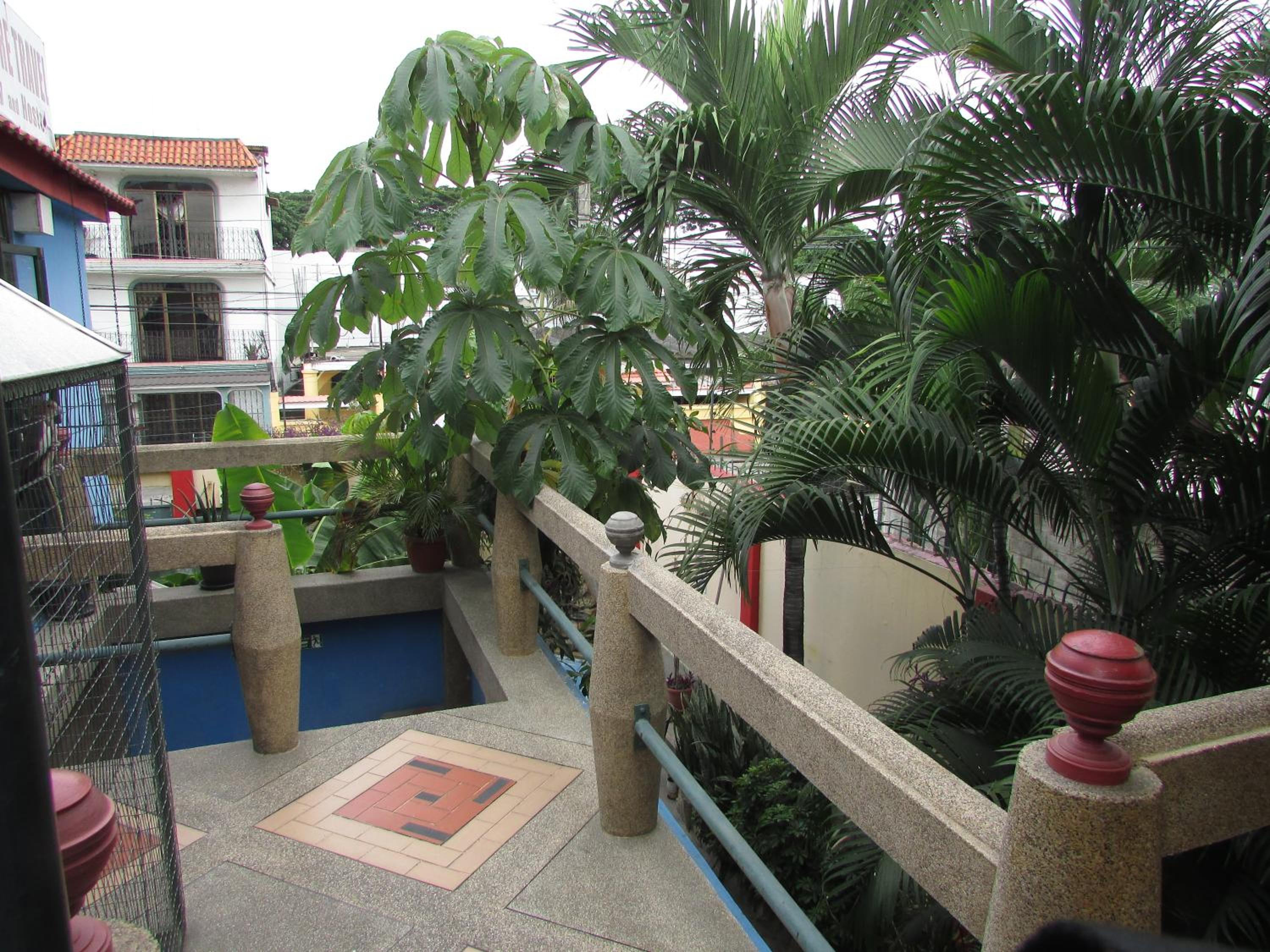 Dreamkapture Hostel close to the airport and bus terminal