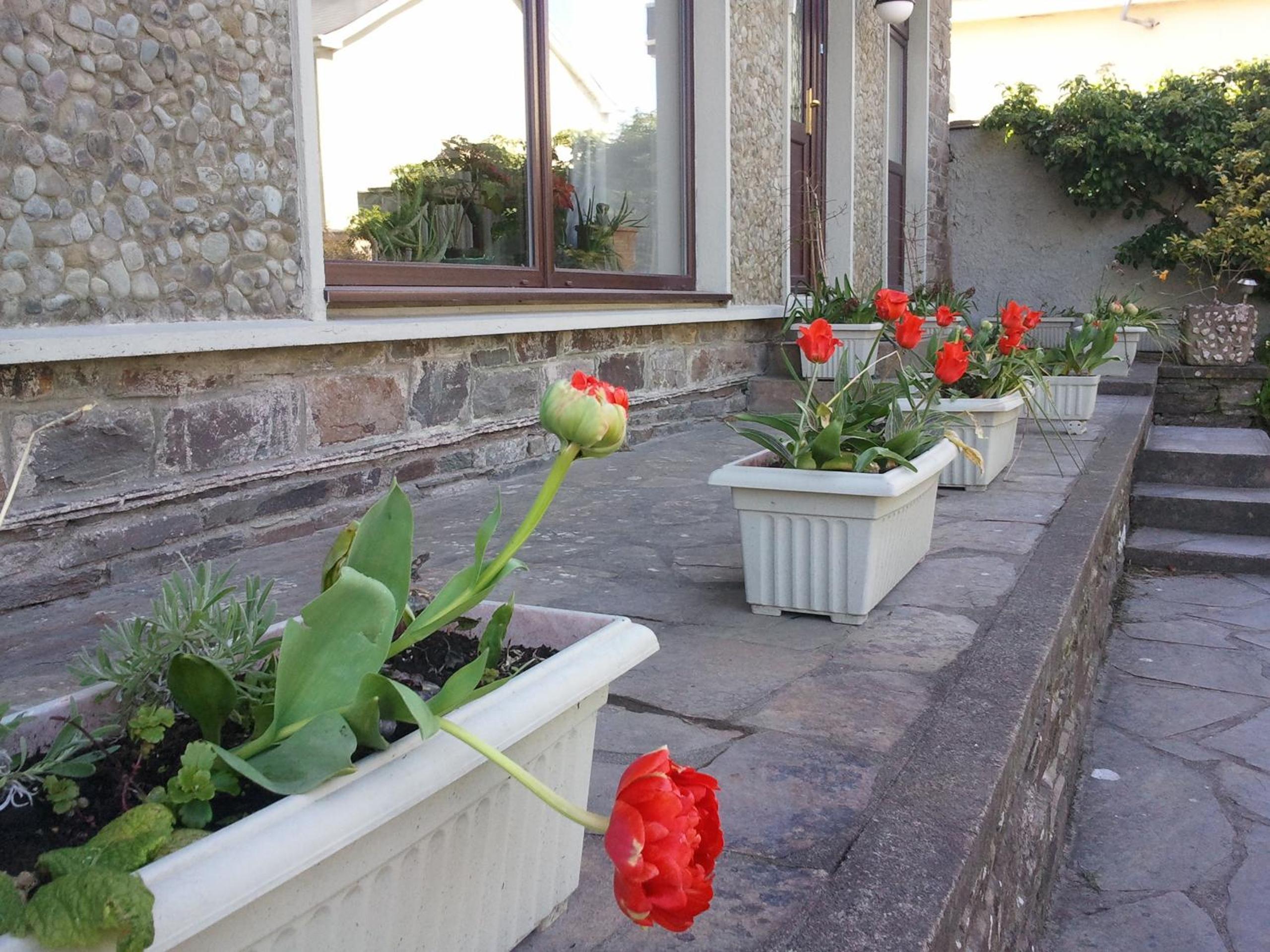 The Stone House B&B
