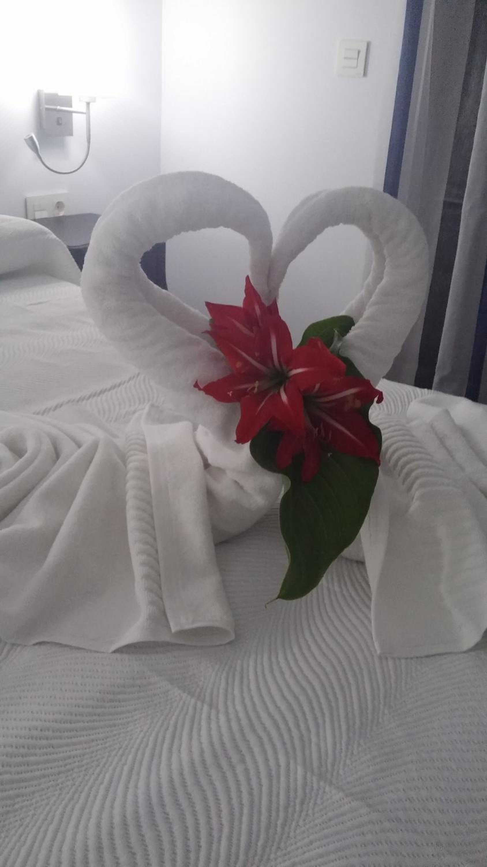 Hostal Boutique Bajamar