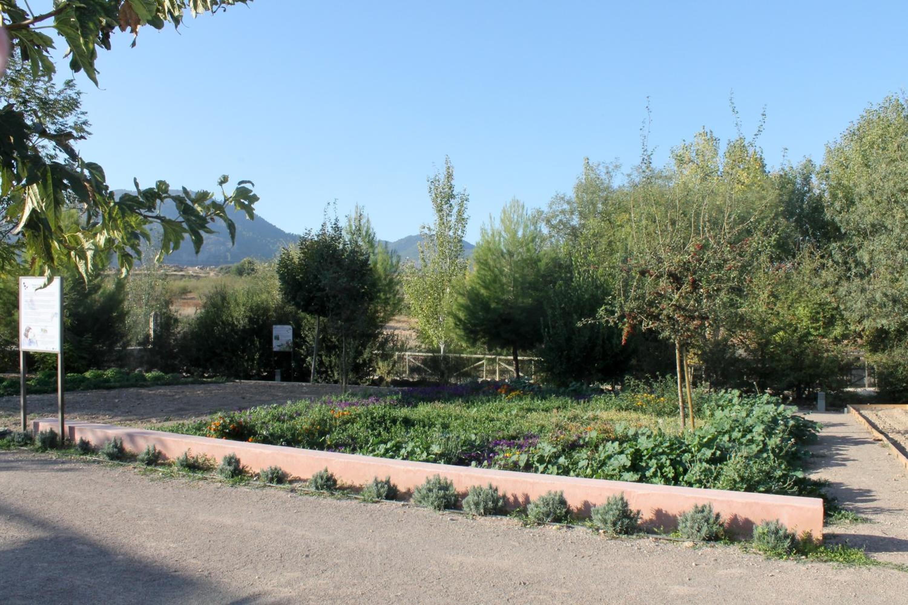 Photo 42