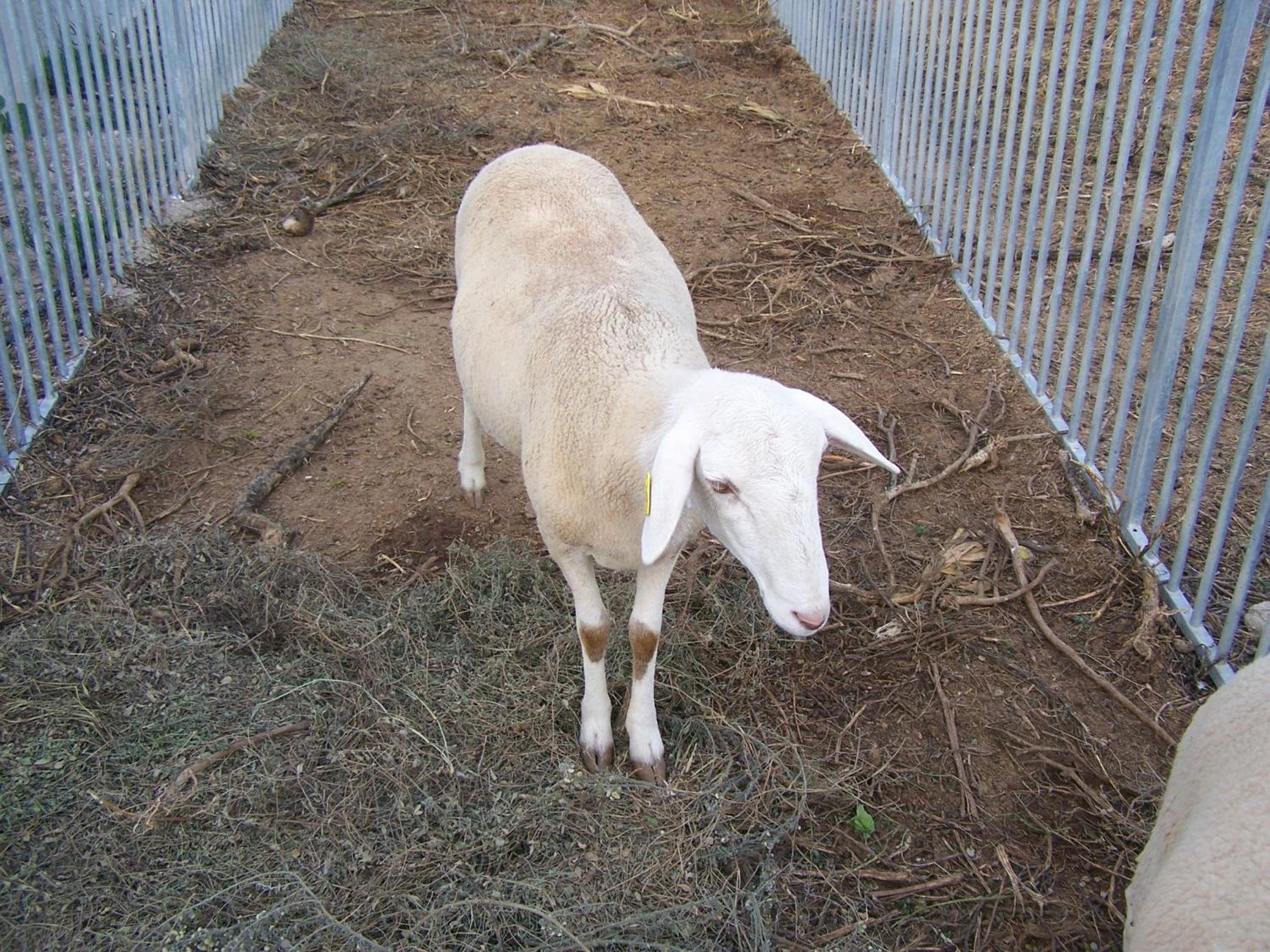 Photo 45