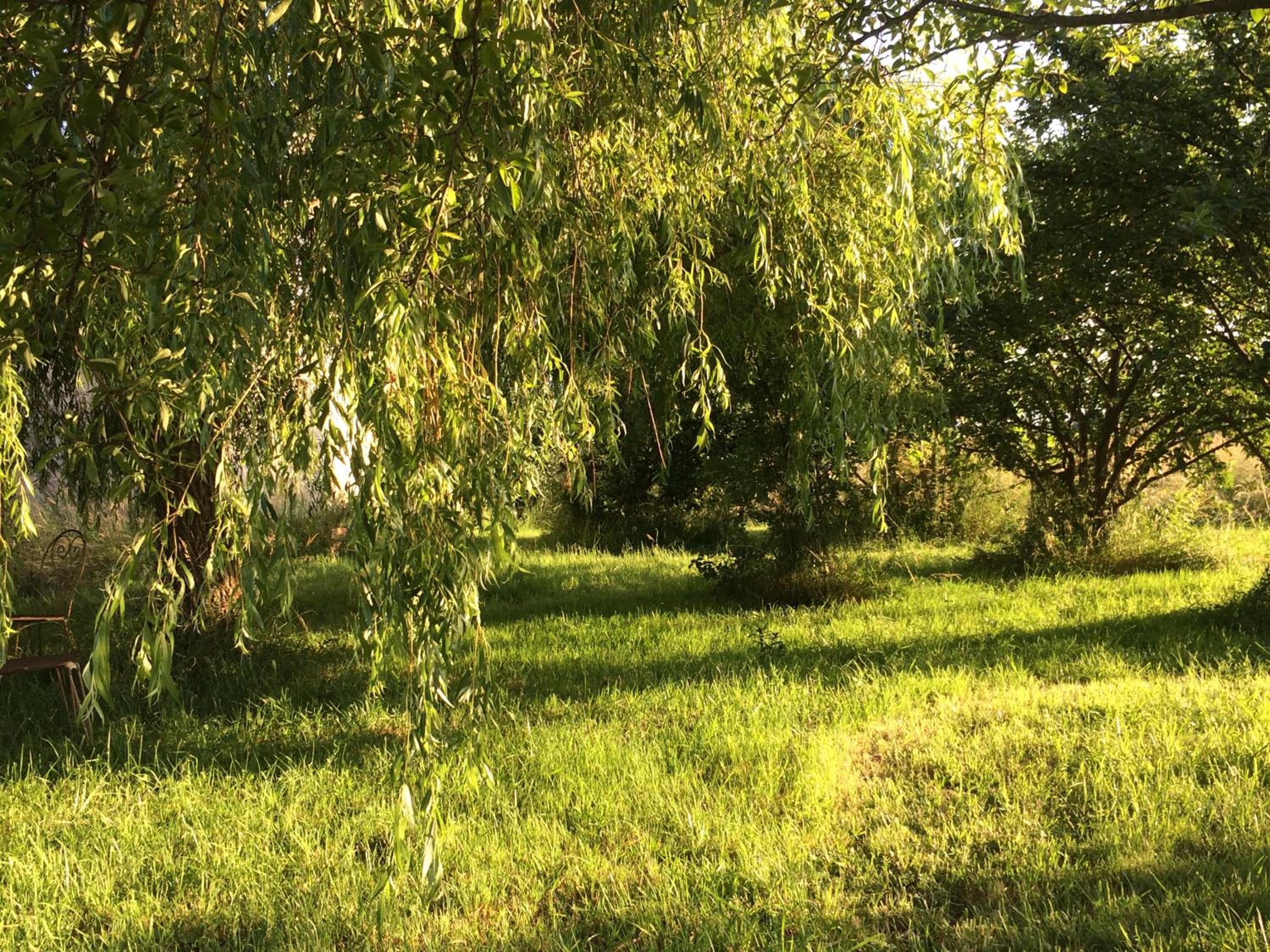 Photo 39