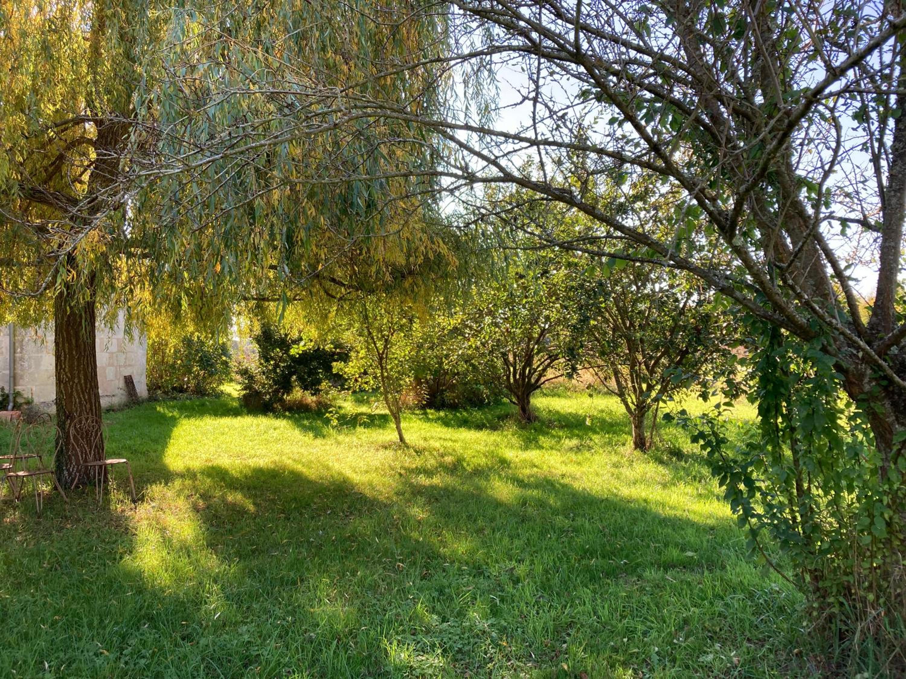 Photo 48